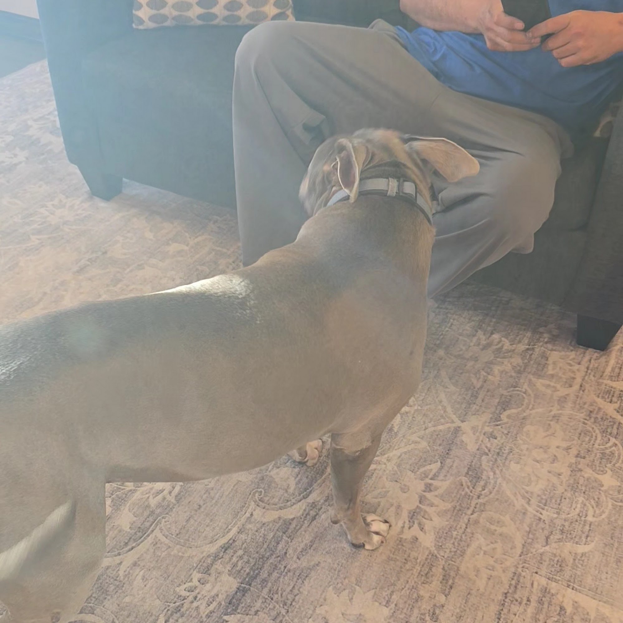 Veterinary Center of Parker, Inc. Parker