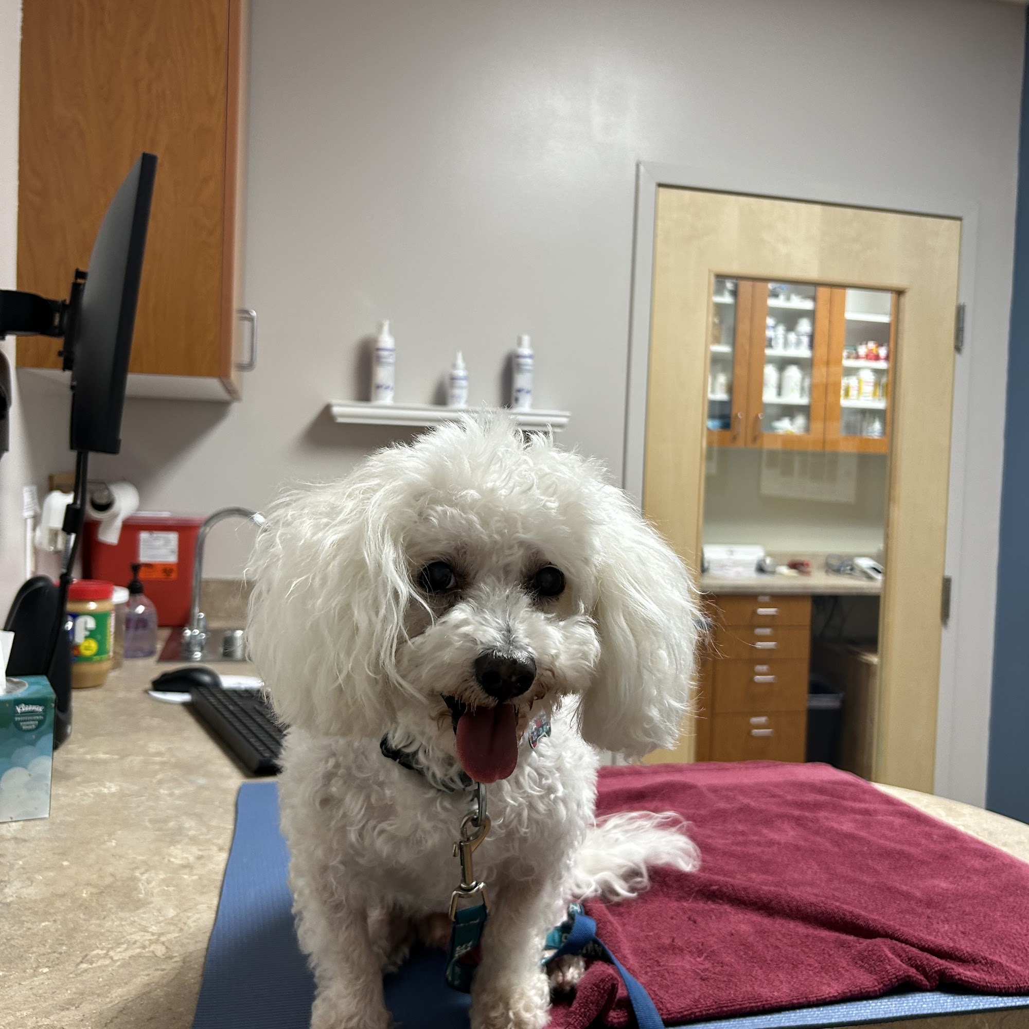 Advanced Pet Care of Parker Parker