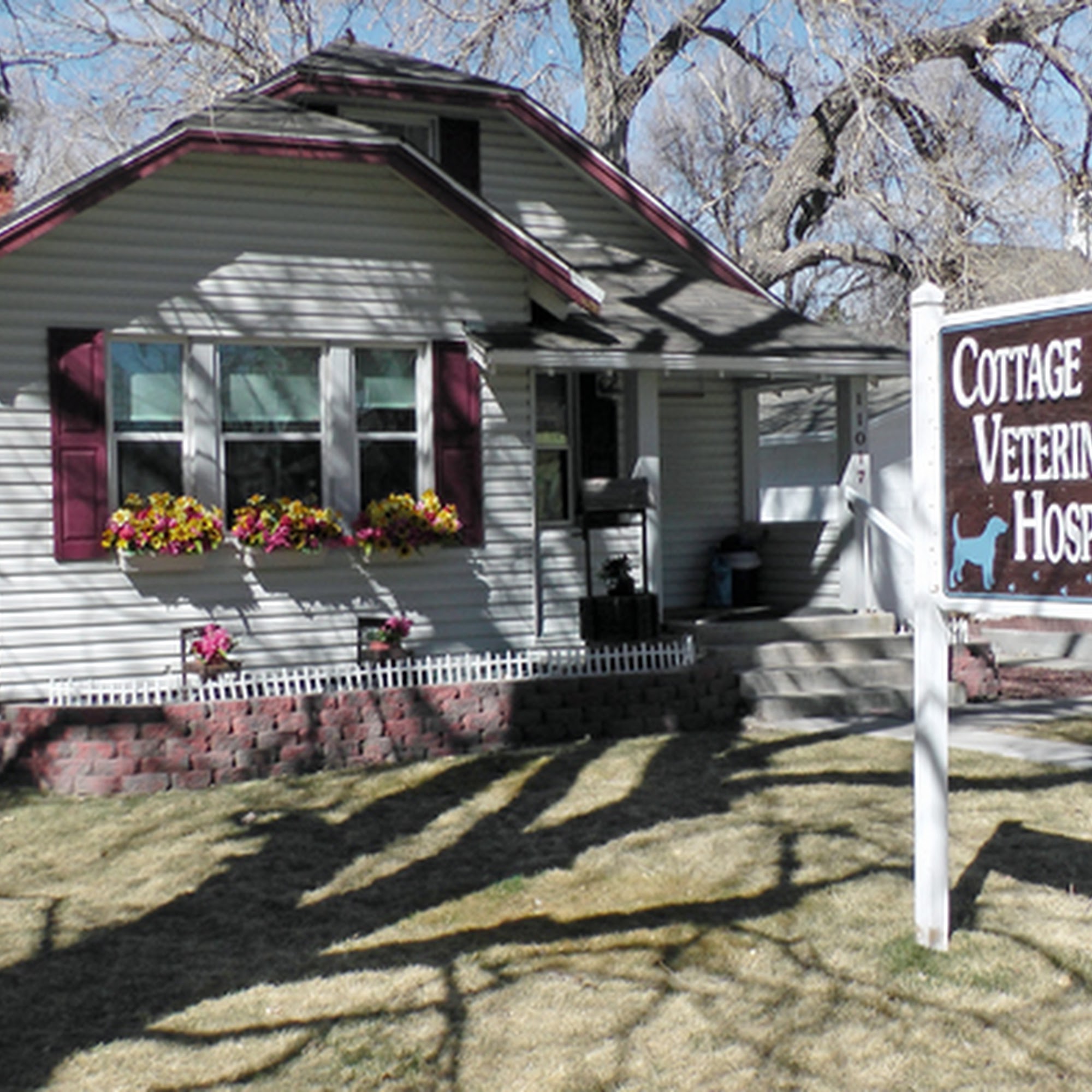 Cottage Veterinary Hospital Parker