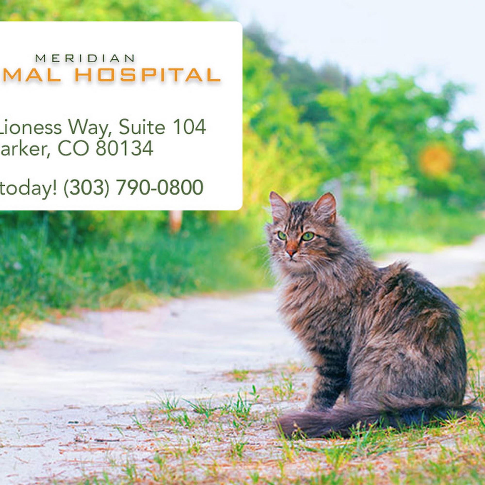Meridian Animal Hospital Parker