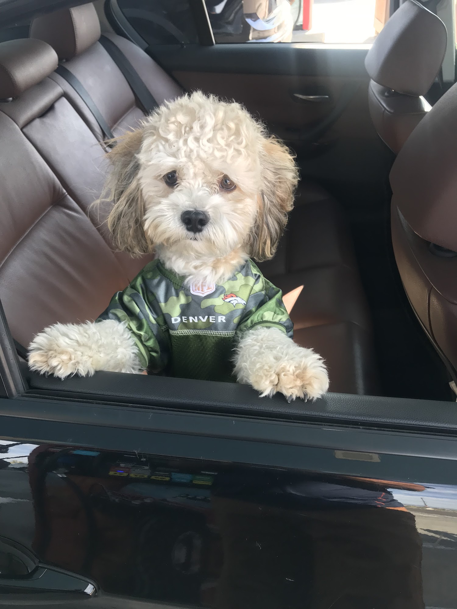 Enchanted Herbs Tea & Kratom LLC Parker