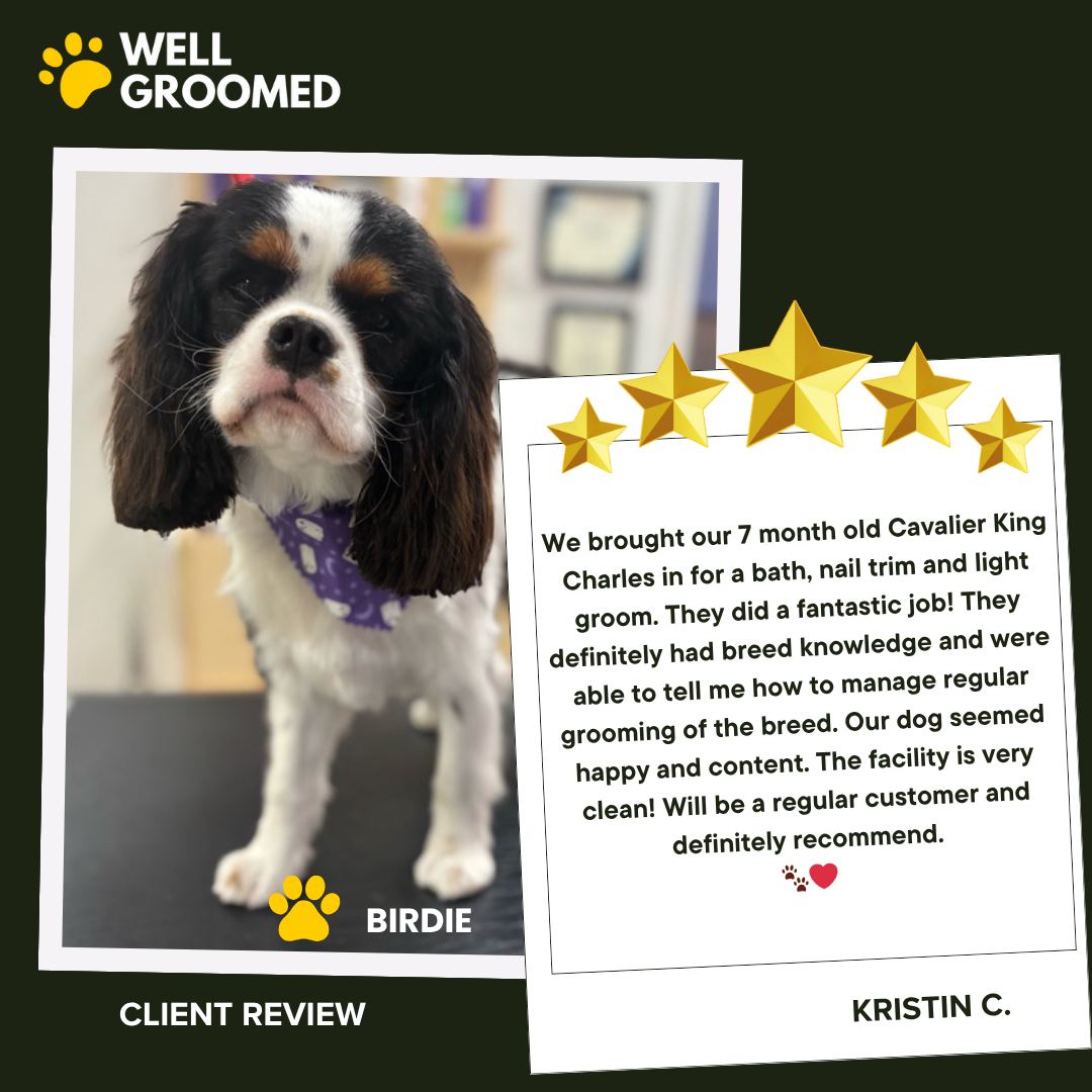 Well Groomed Pets - Parker Parker