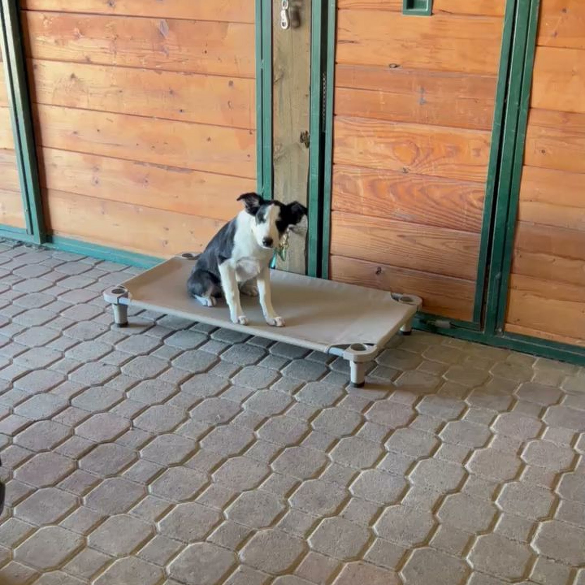 The Wineglass Ranch Parker