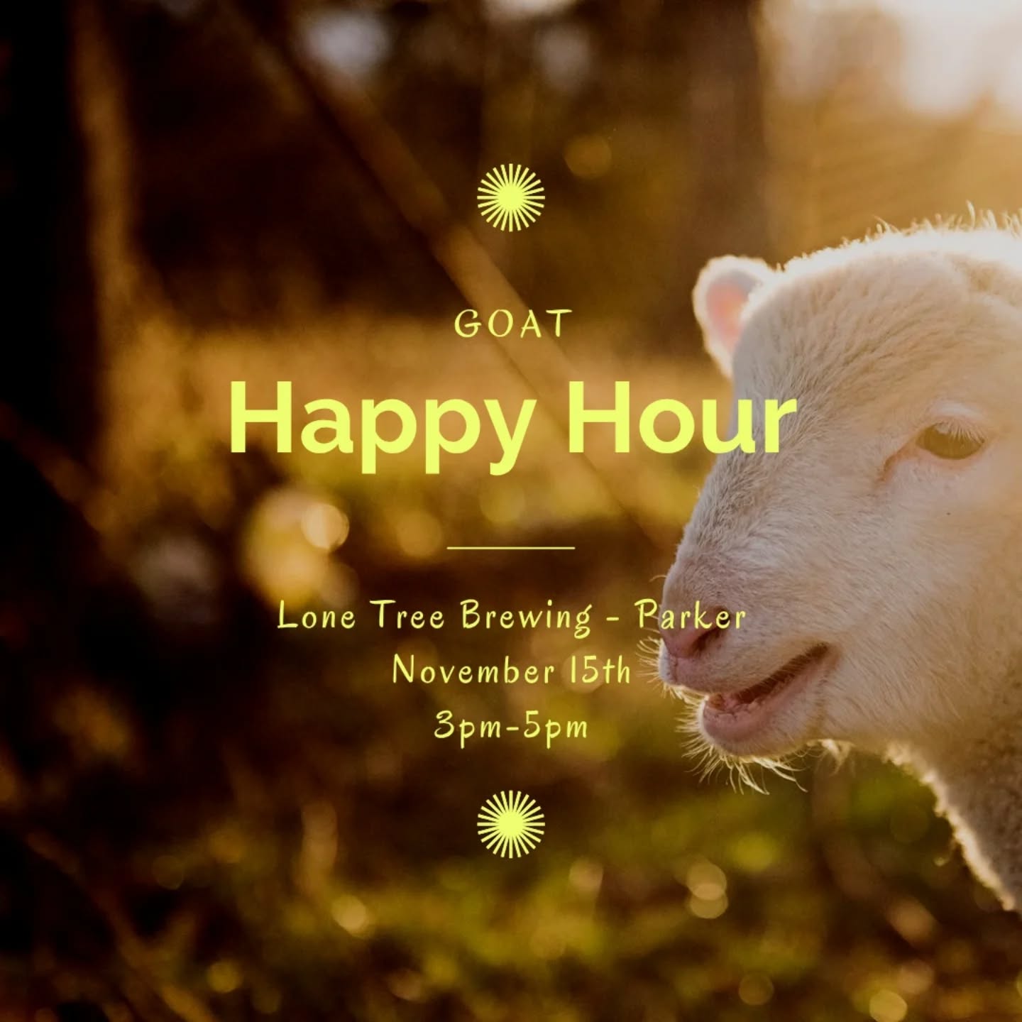 Lone Tree Brewing Company - Parker Parker