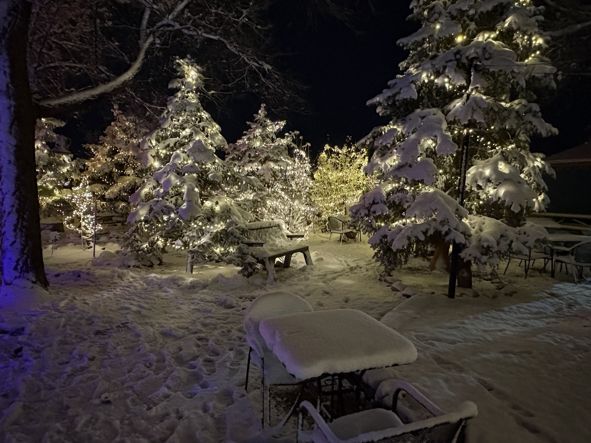 Coyote's Coffee Den Penrose