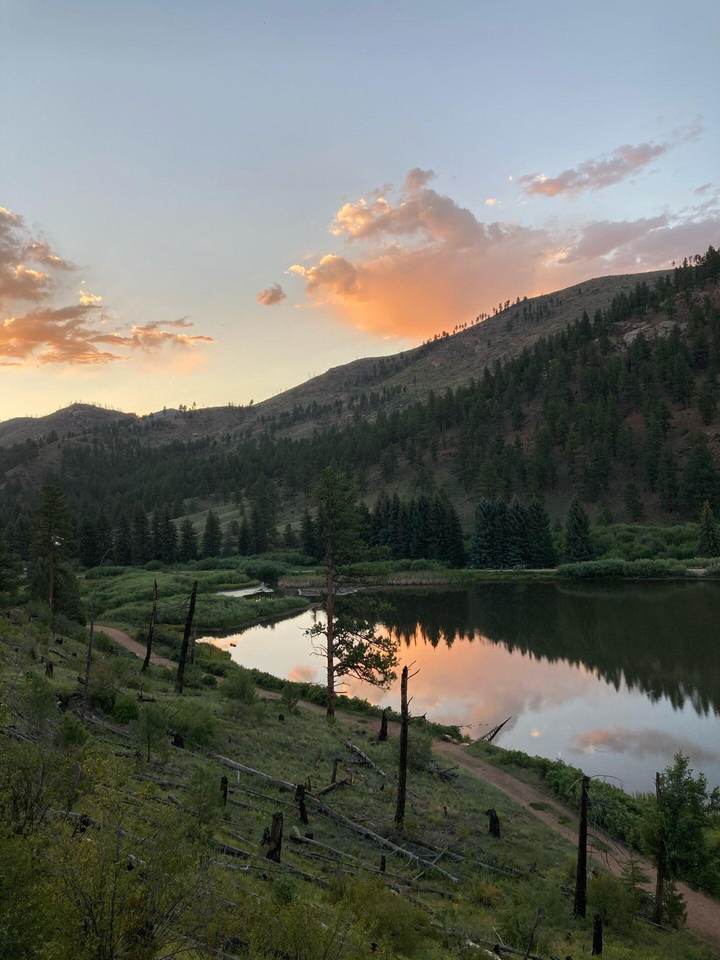 Pine Country Feed & Pet Supply Pine