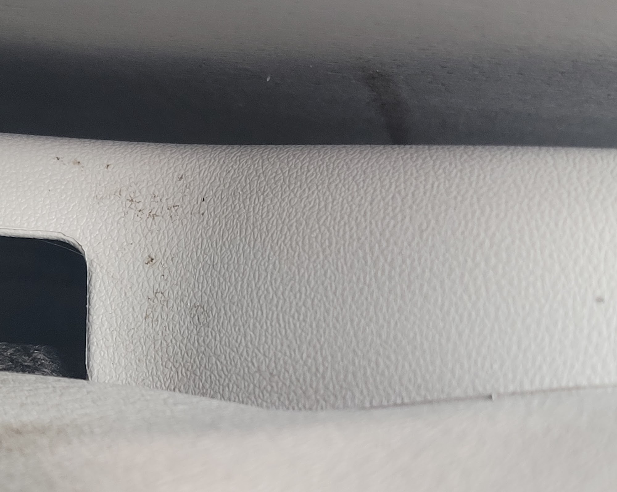 Alpha Auto Detail