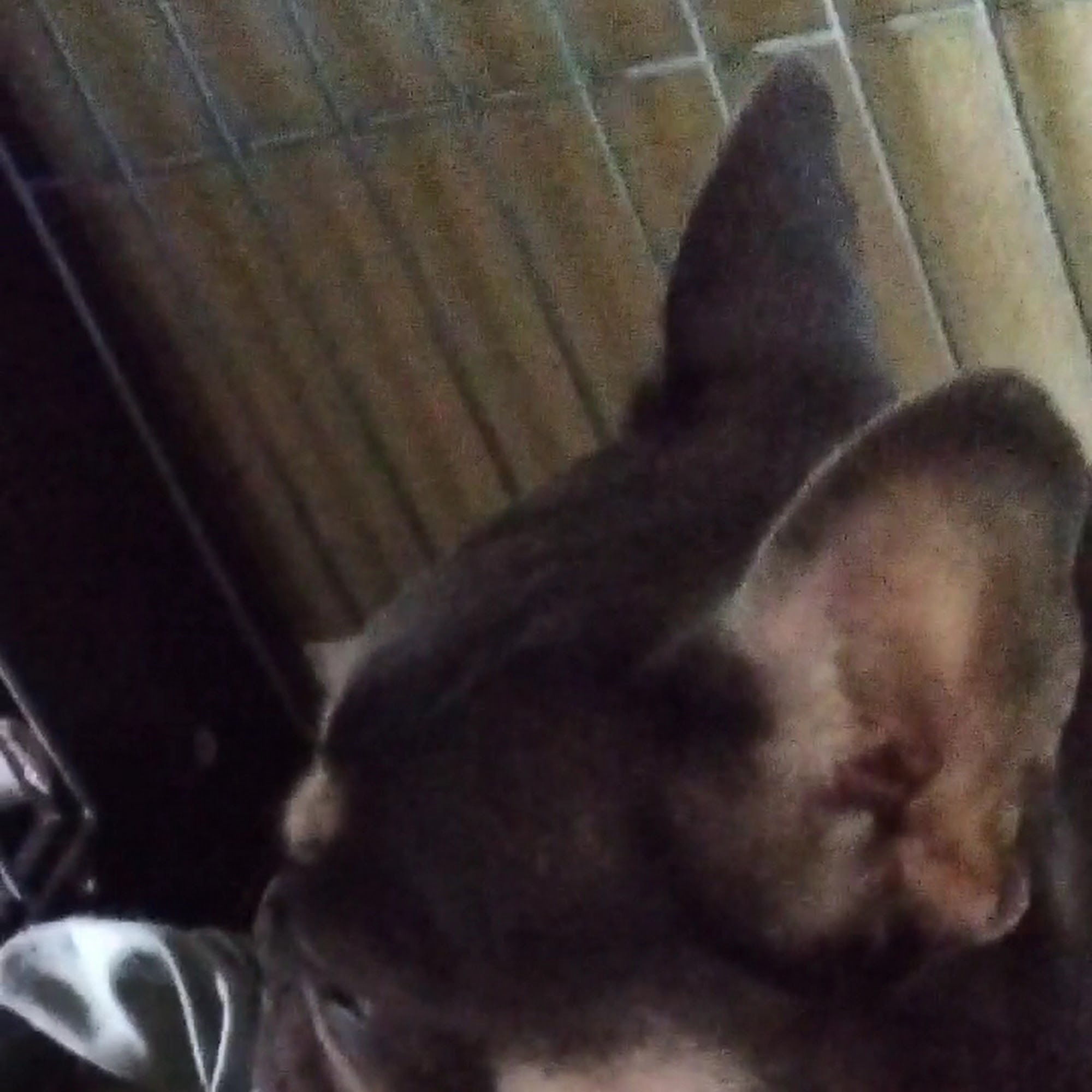 Pharmacy | Kaiser Permanente Pueblo North Medical Office