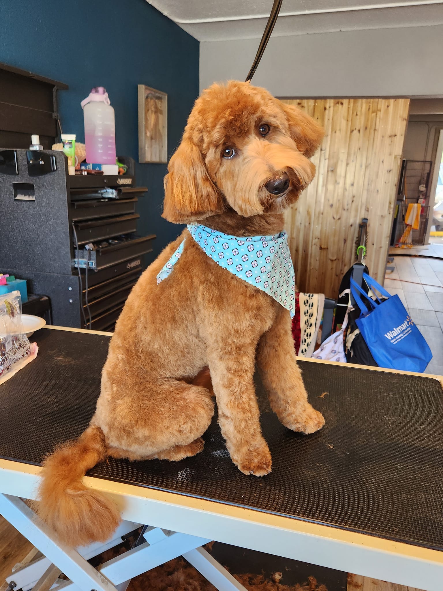 Pawsitively Purfect Pet Groom