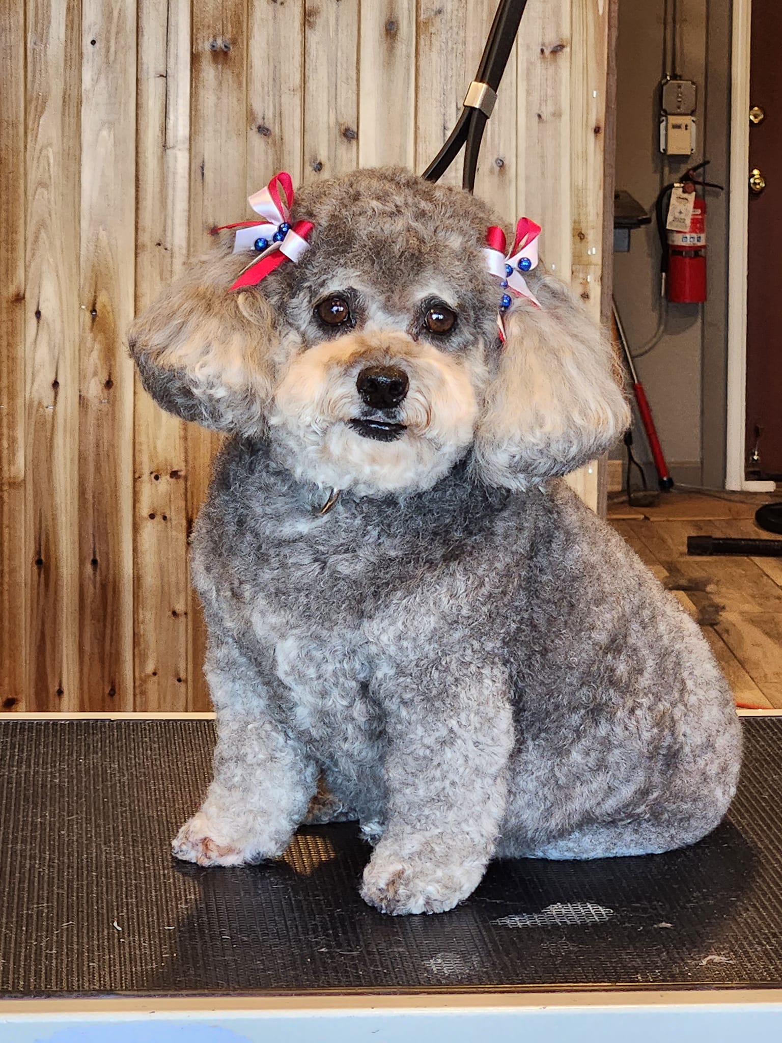 Pawsitively Purfect Pet Groom
