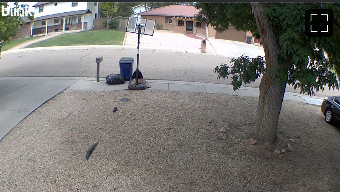 WASTE CONNECTIONS OF PUEBLO Pueblo