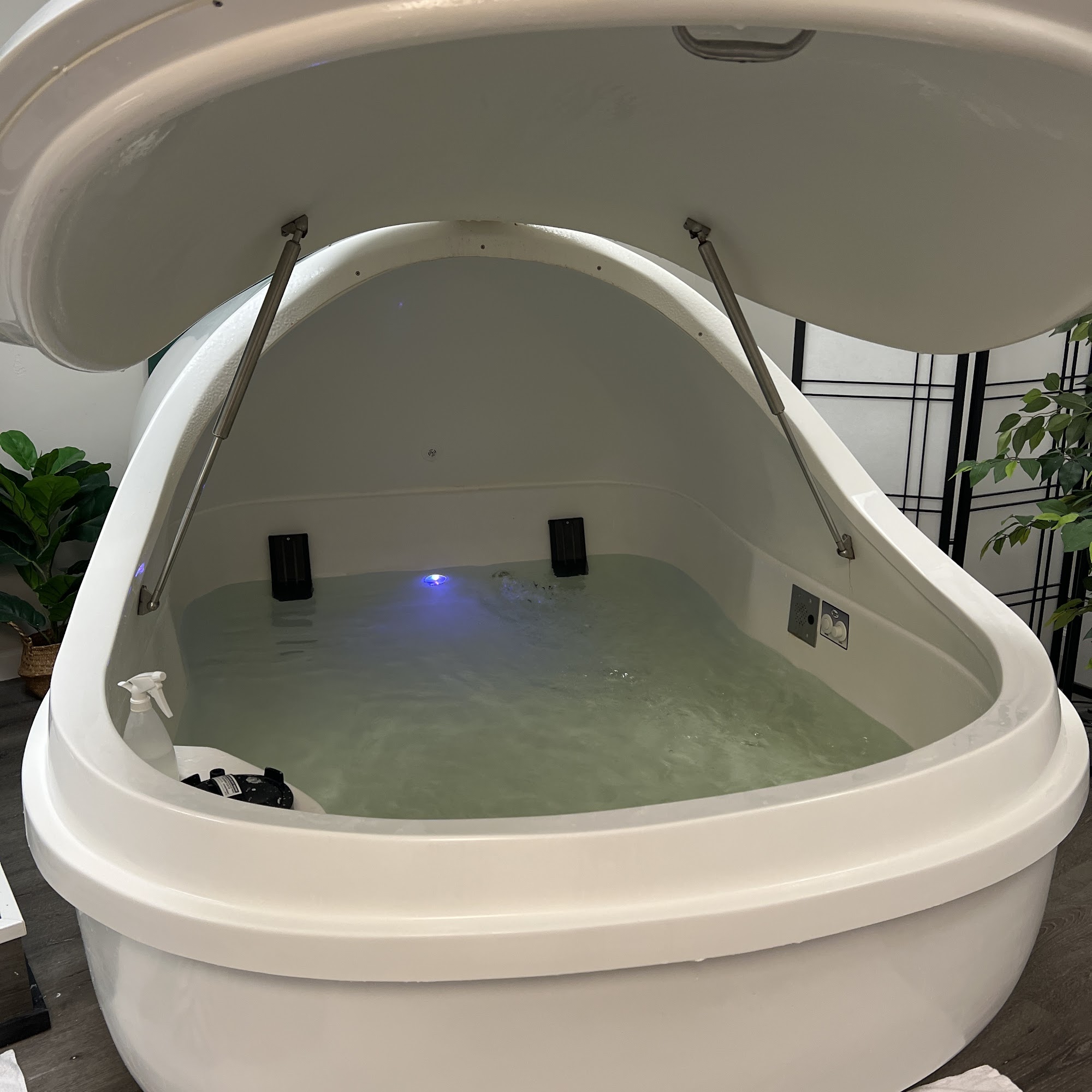 Rose Massage Therapy and Float Spa Downtown 955 N Greenwood St, Pueblo Colorado 81003