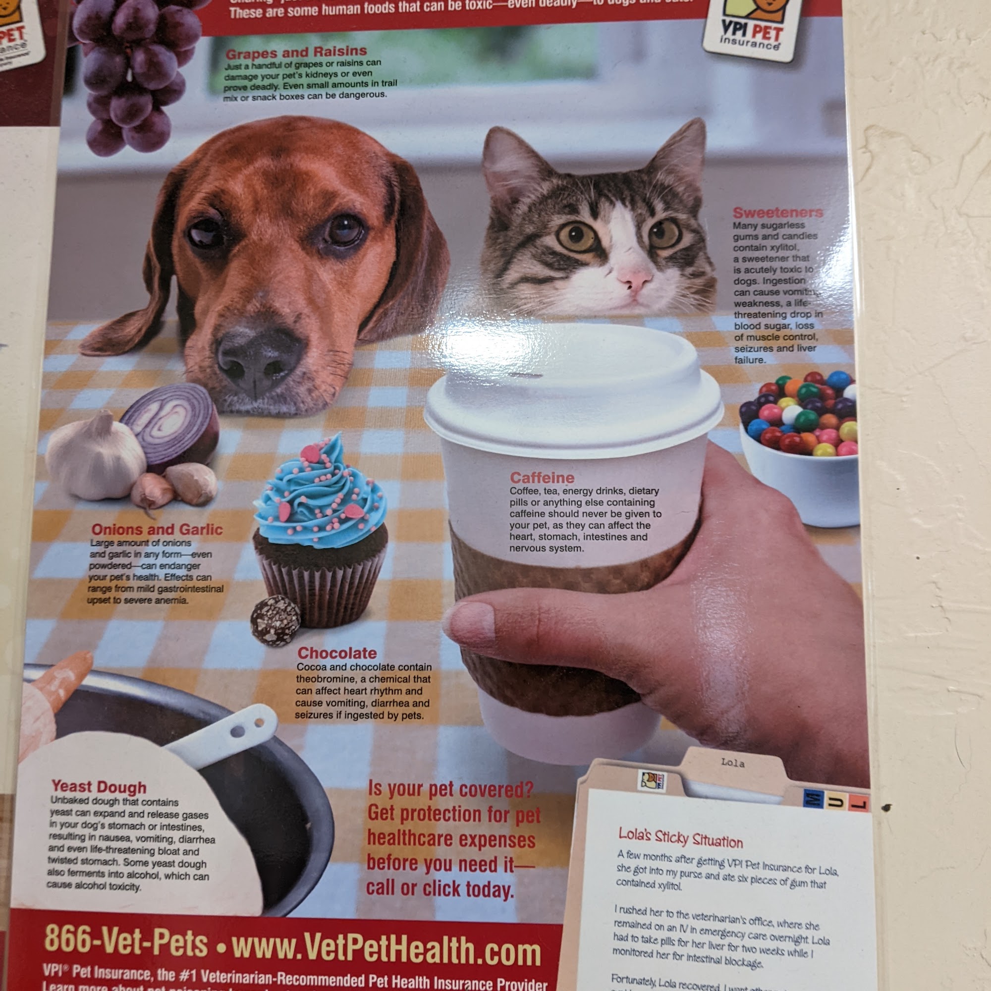 Ridgway Animal Hospital Ridgway