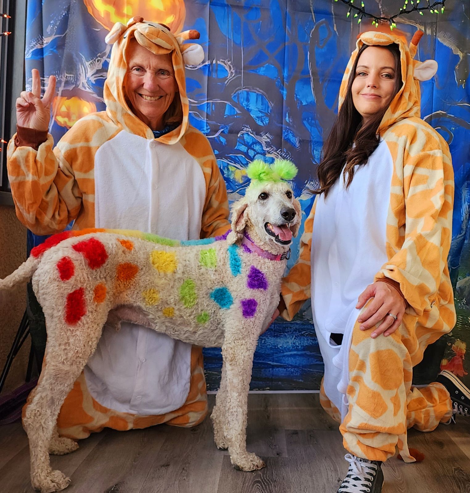 Gone to the Dogs-Hwy Salida