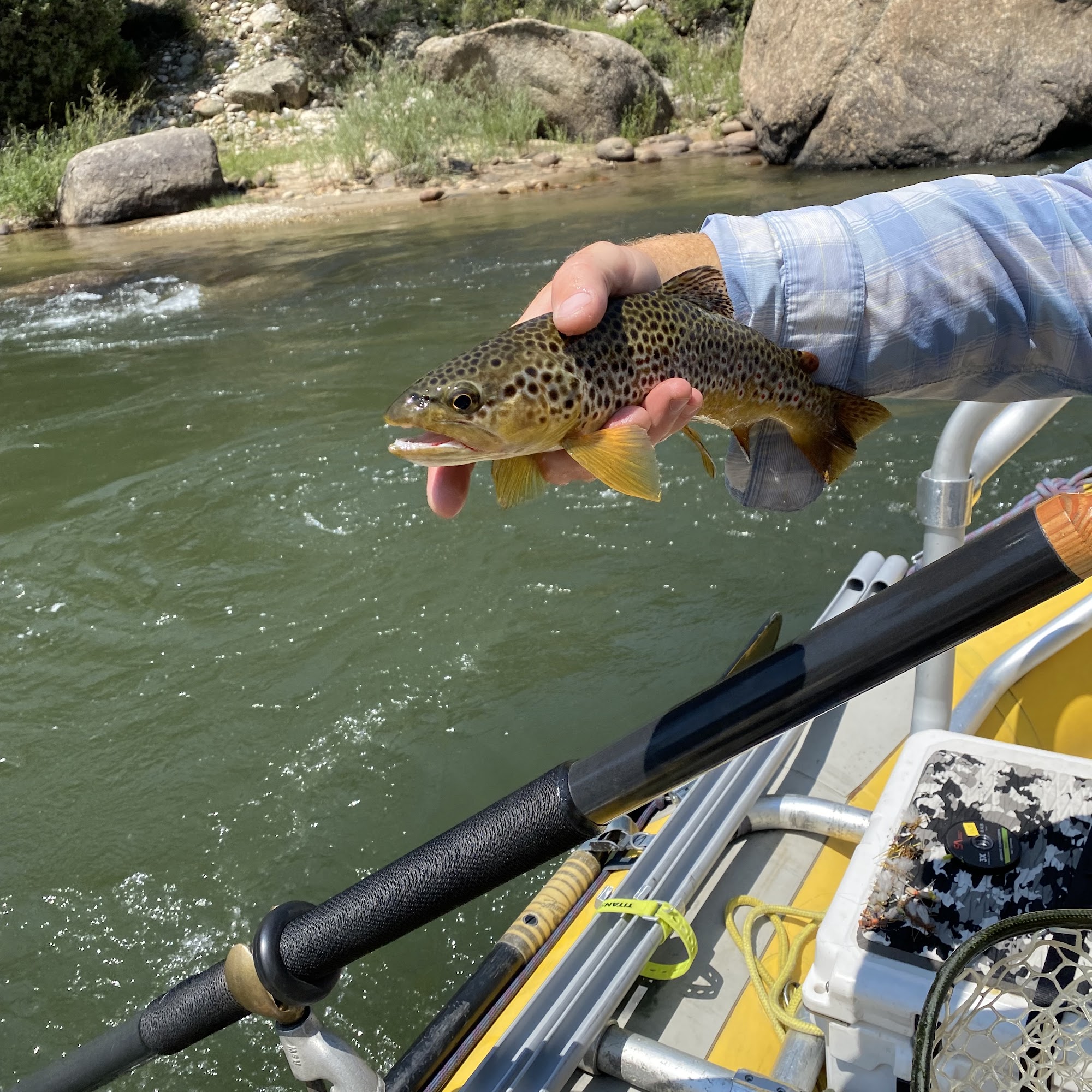 ArkAnglers & Arkansas River Fly Shop Salida