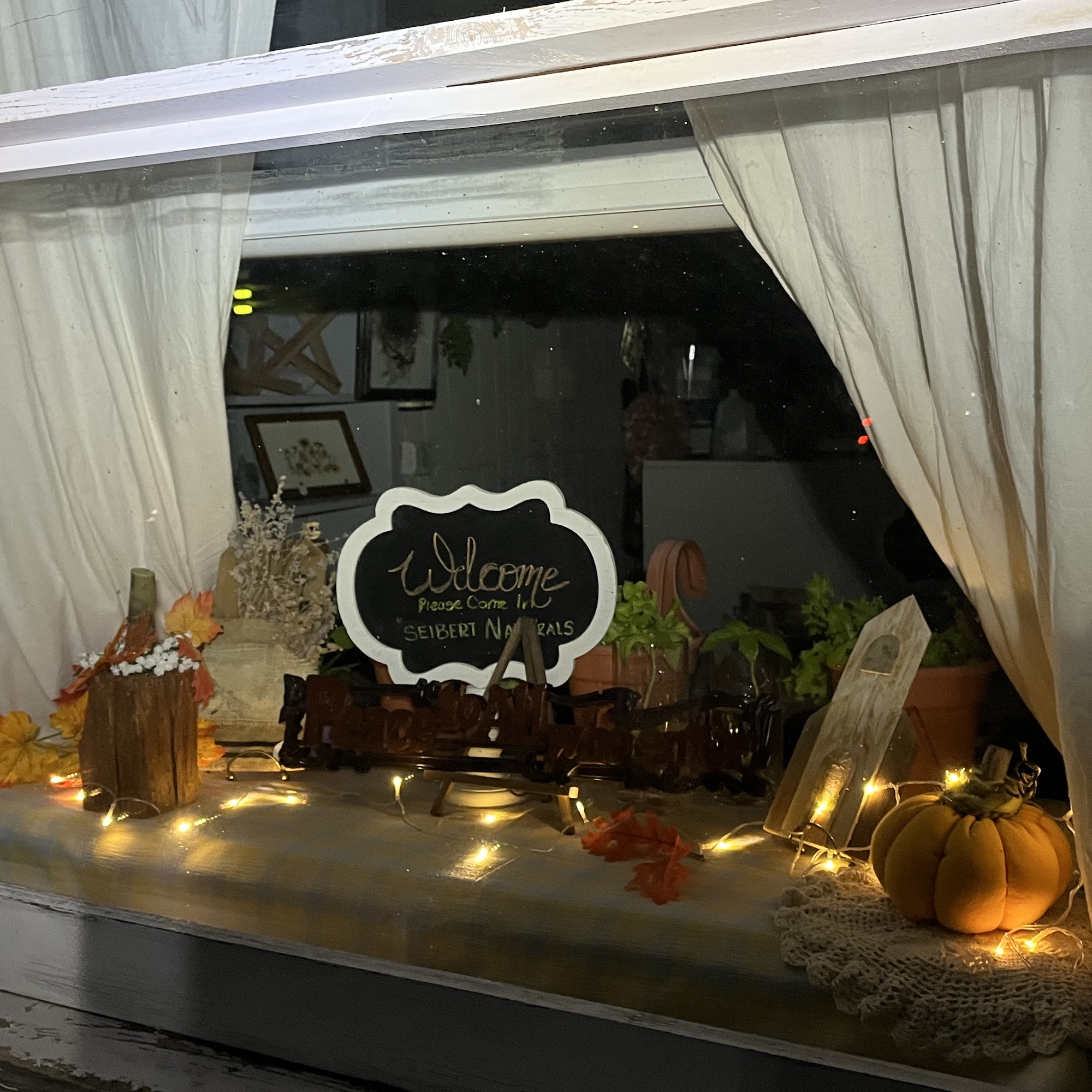 Seibert Naturals Seibert