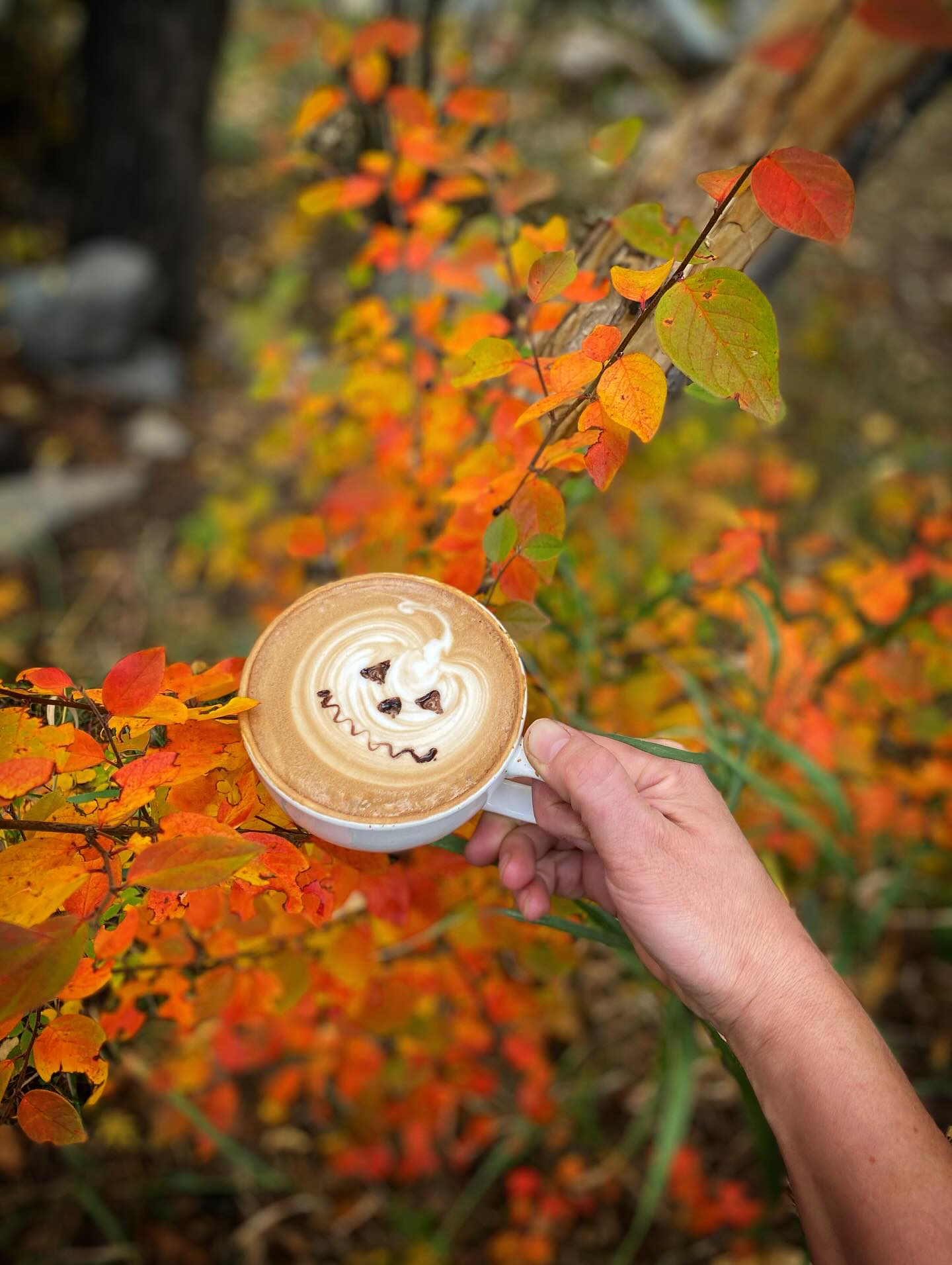 Red Buffalo Coffee & Tea Silverthorne
