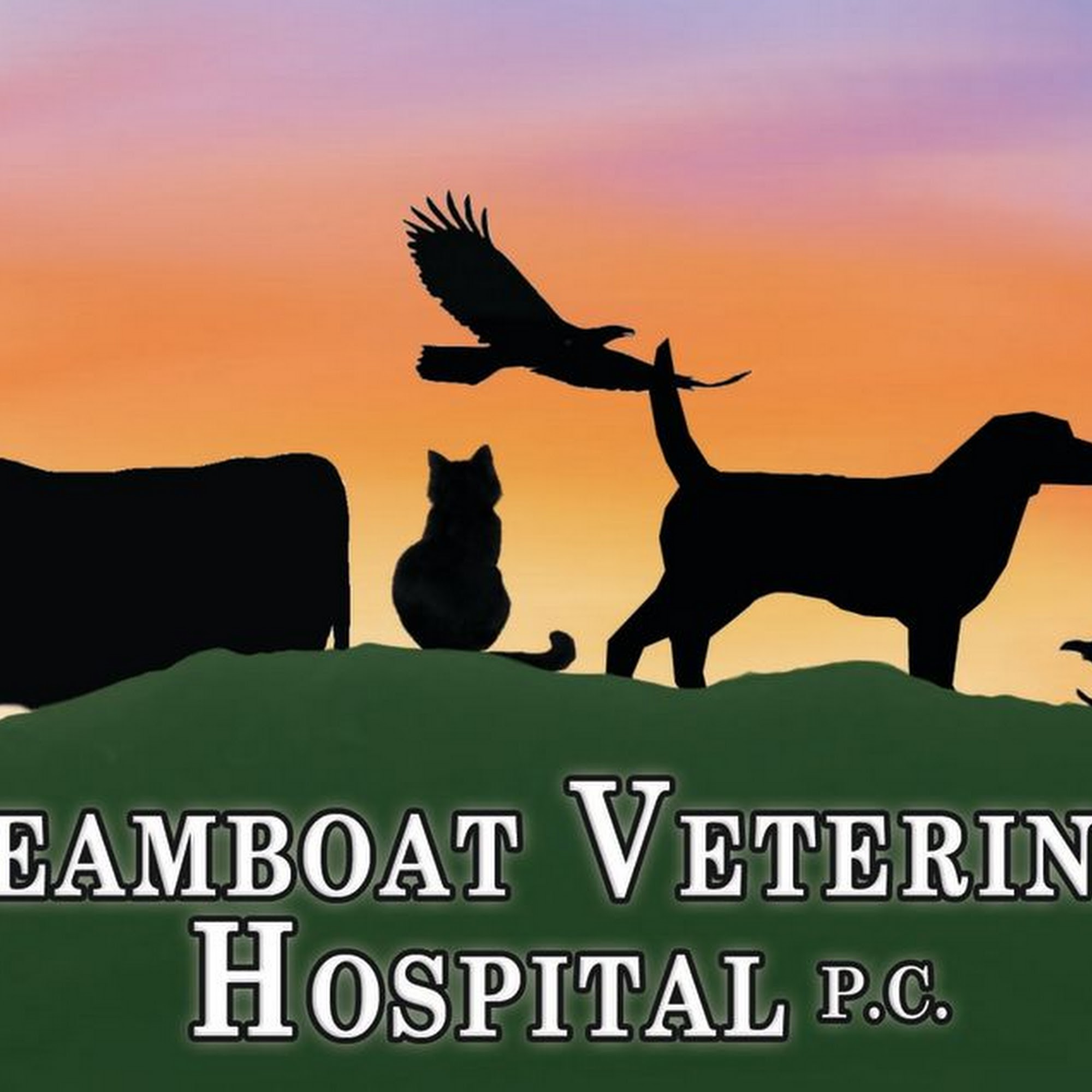 Steamboat Veterinary Hospital Steamboat Springs