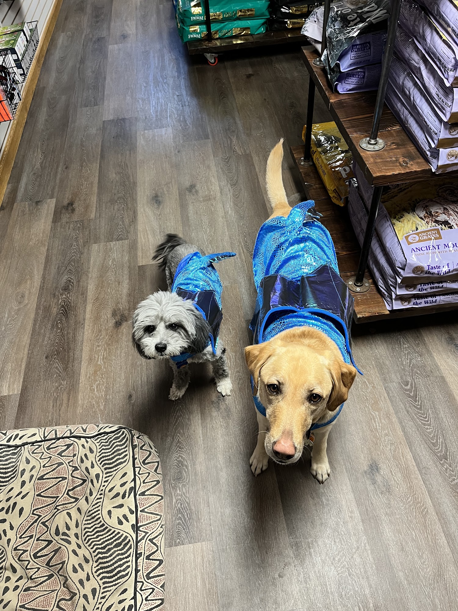 Dirt Dawg Co. Telluride