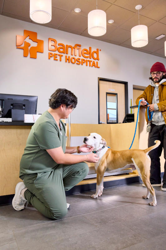 Banfield Pet Hospital Thornton
