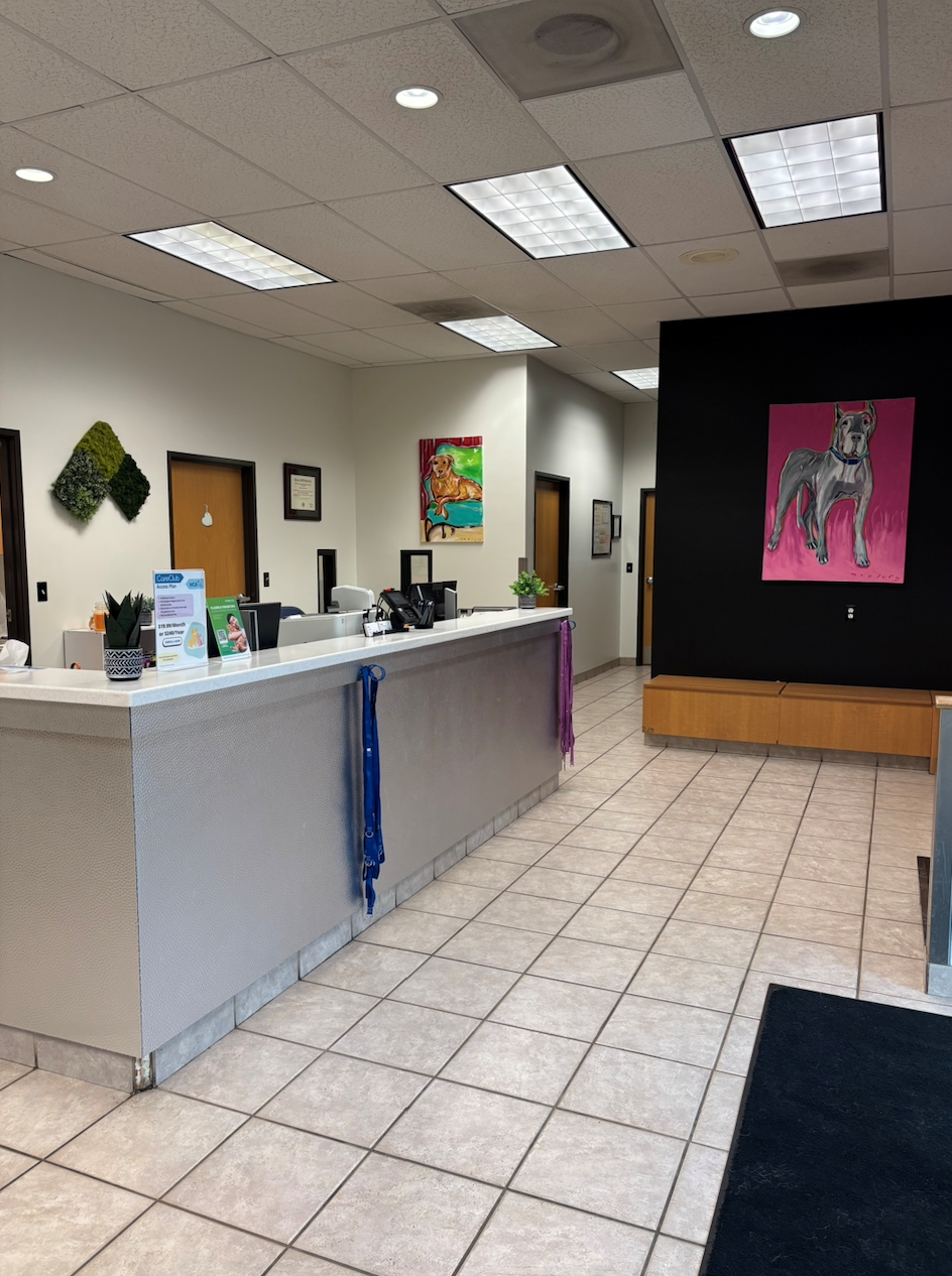 VCA Thornton Animal Hospital Thornton