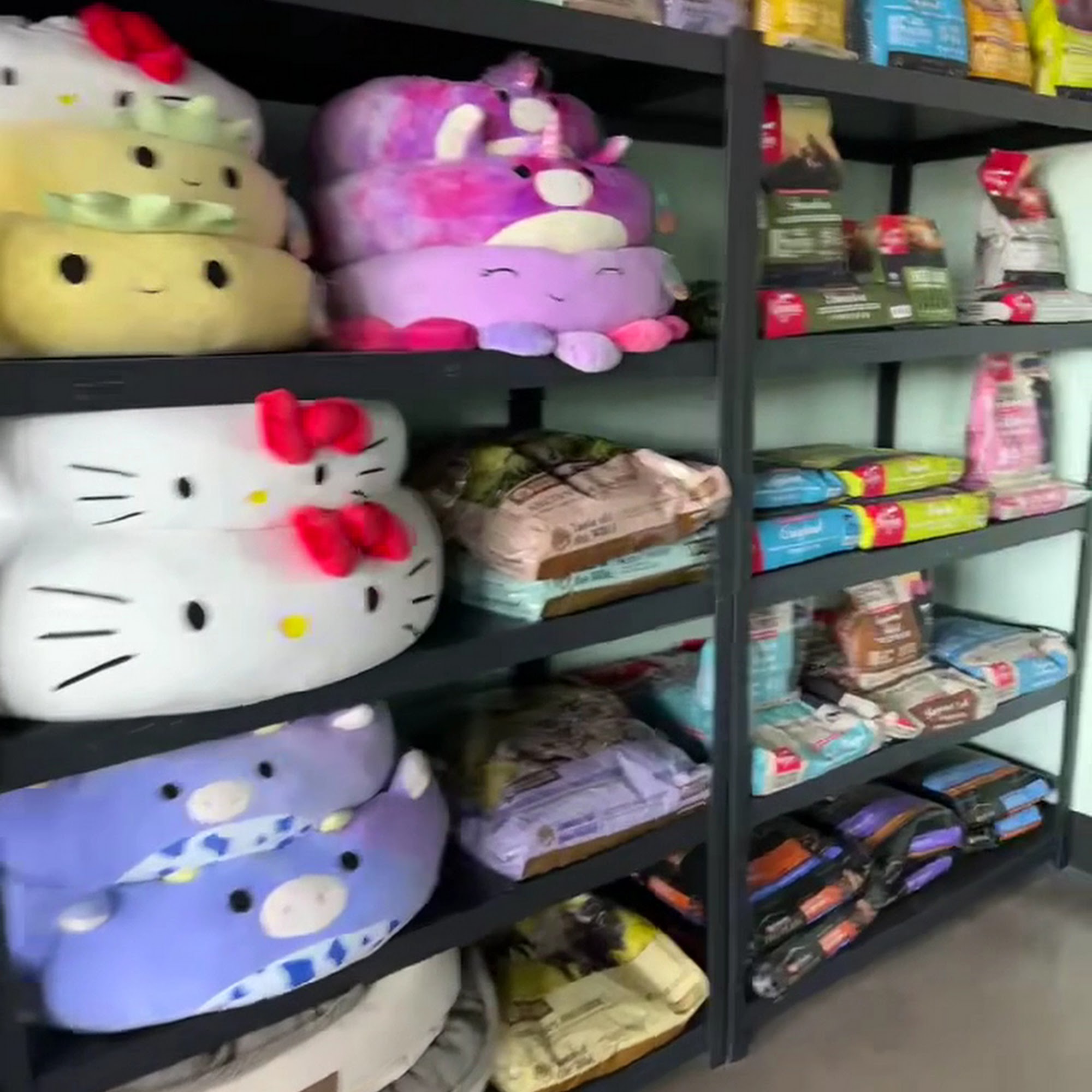 Spawlash Pet Grooming and Selfwash, LLC Thornton