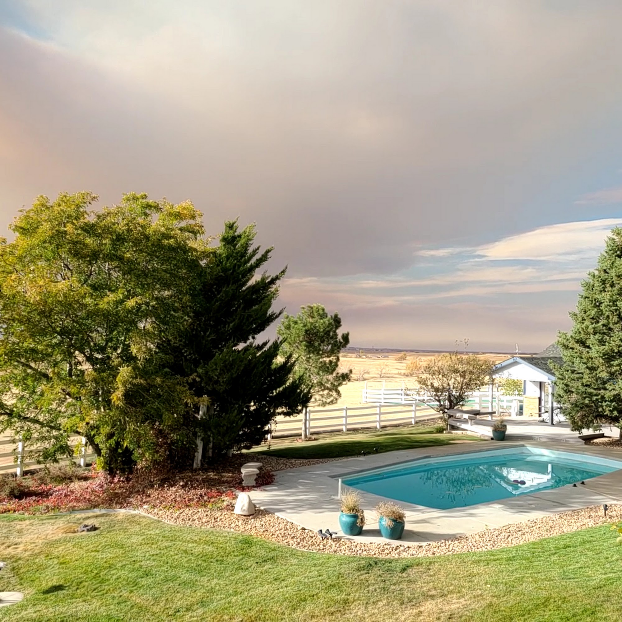 Shylo Country Club for Dogs Watkins