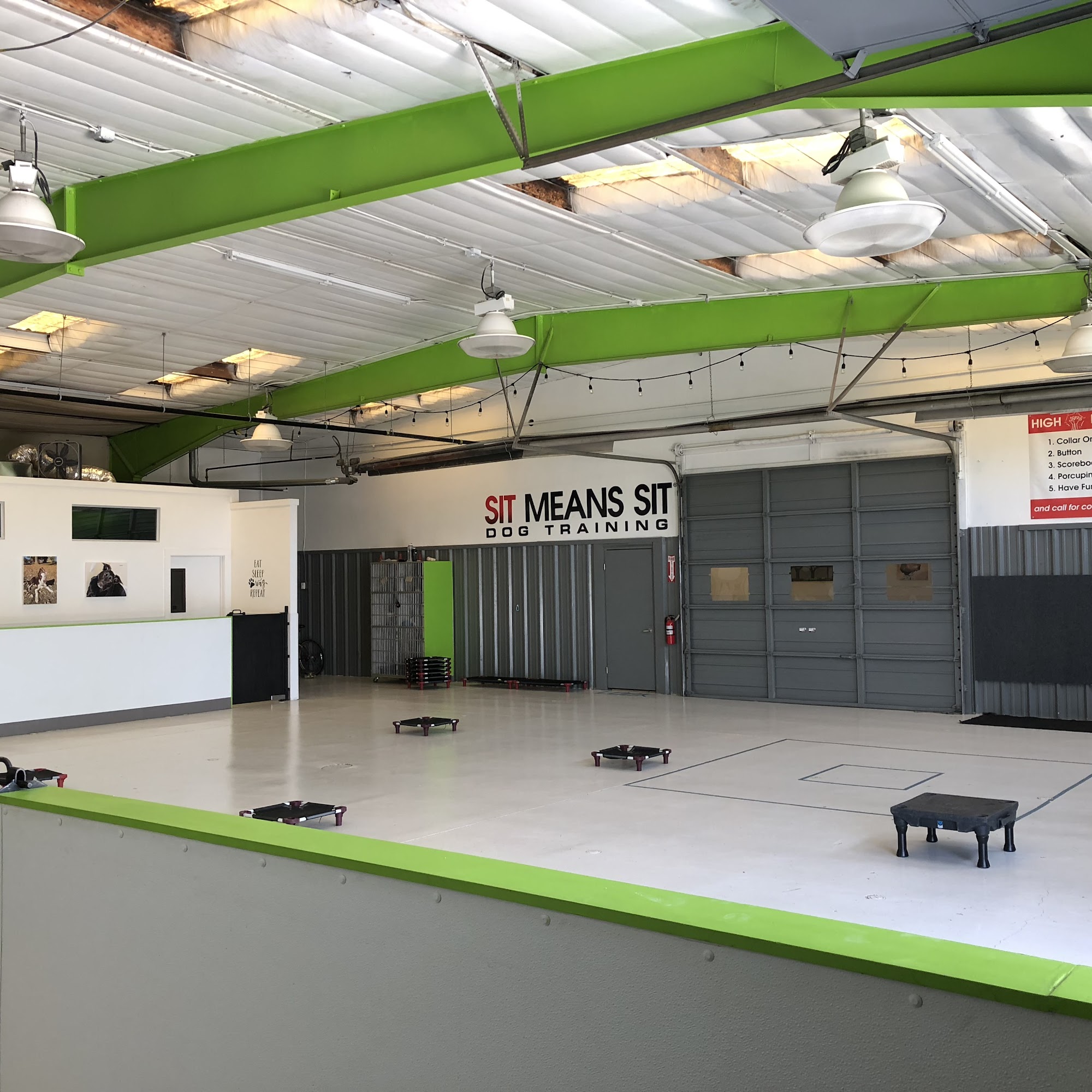 Sit Means Sit Denver Dog Training Wheat Ridge