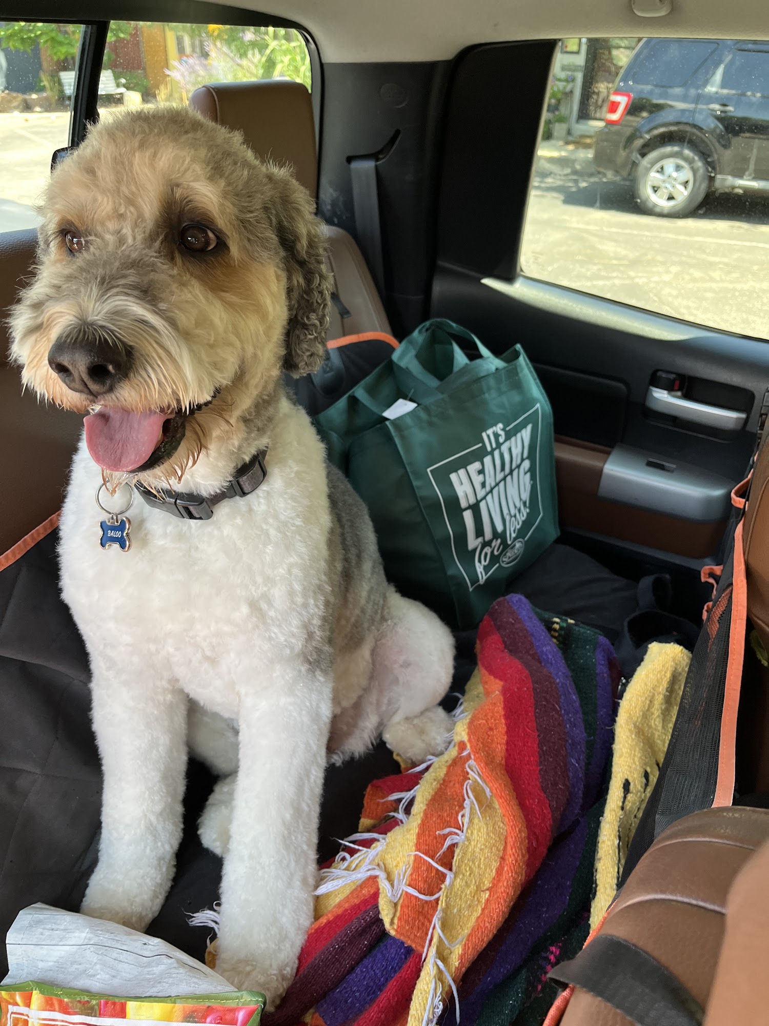 Muddy Paws Bath House Wheat Ridge