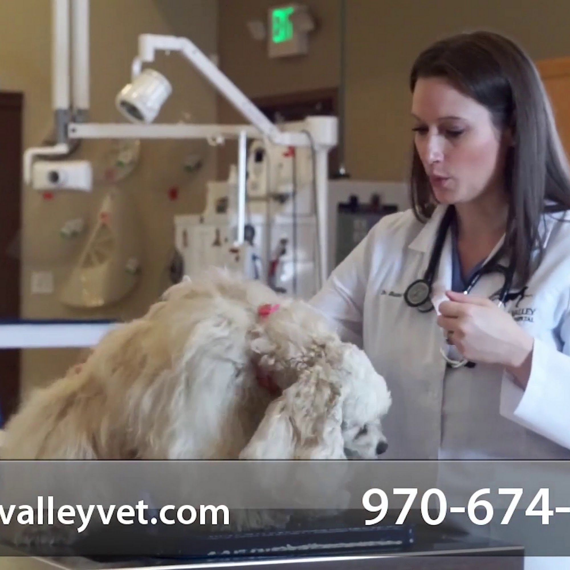 Garden Valley Veterinary Hospital Windsor