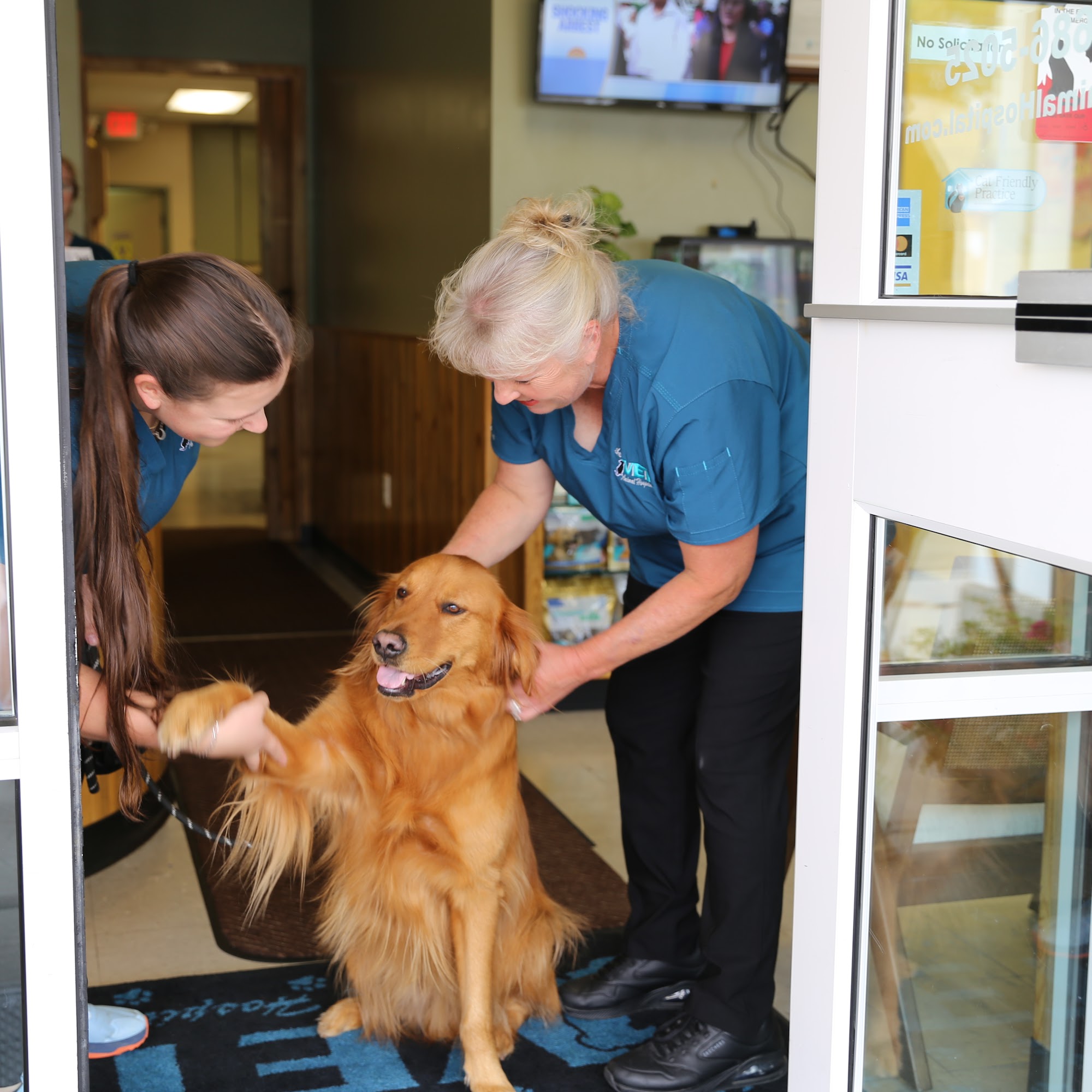 The Vets Animal Hospital Windsor