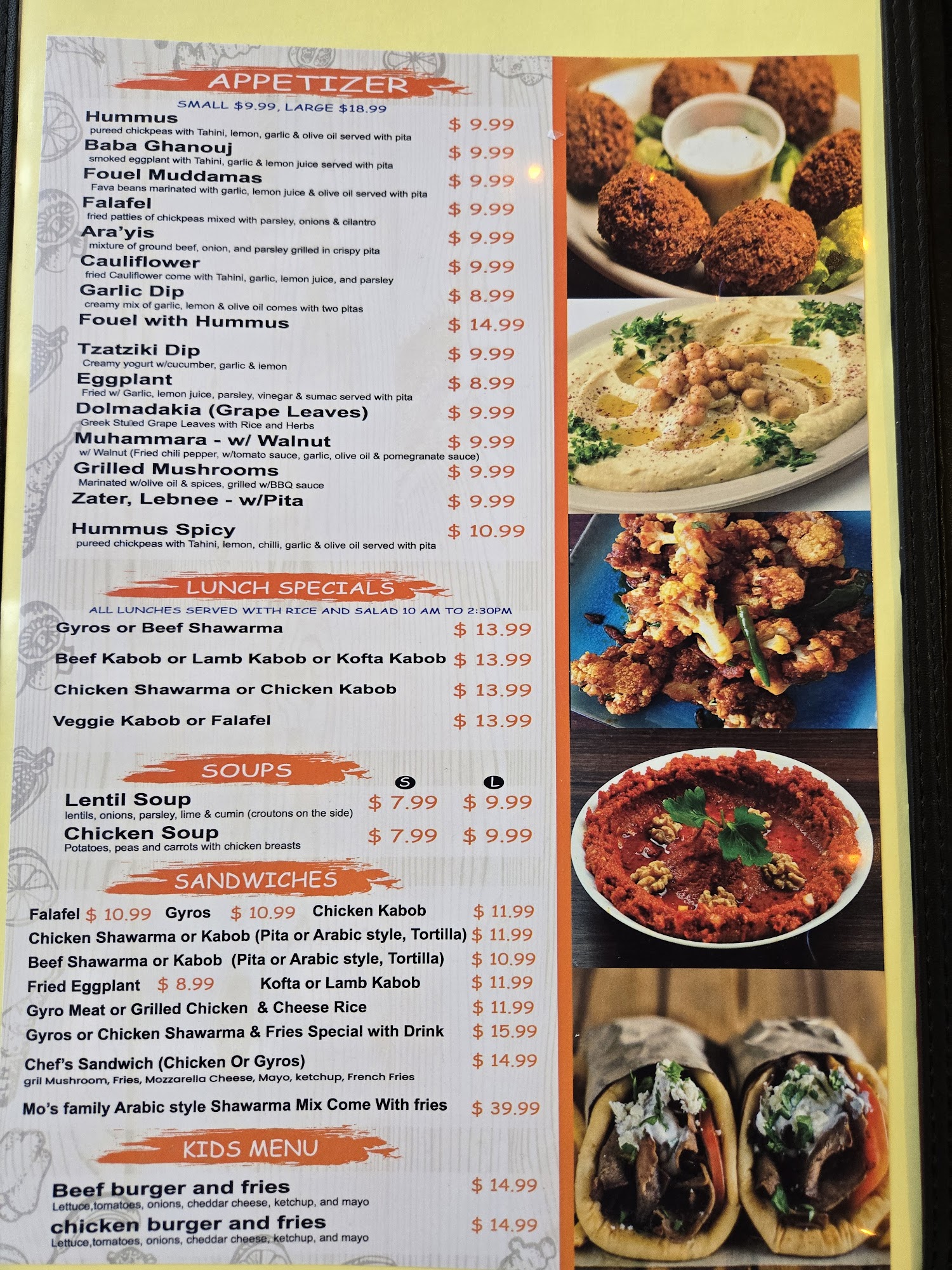 Gyros & Falafel Grill Restaurant Menu