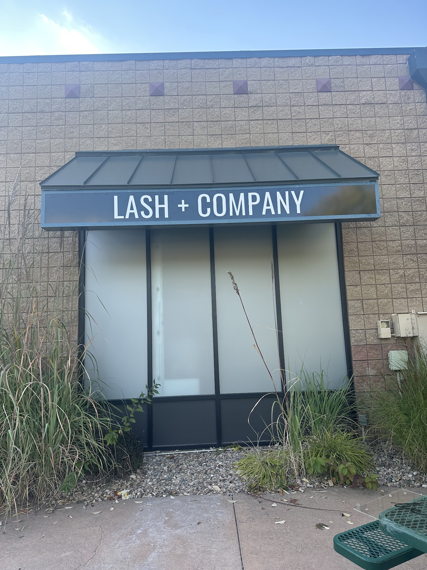 Lash and Company Med Spa - Windsor