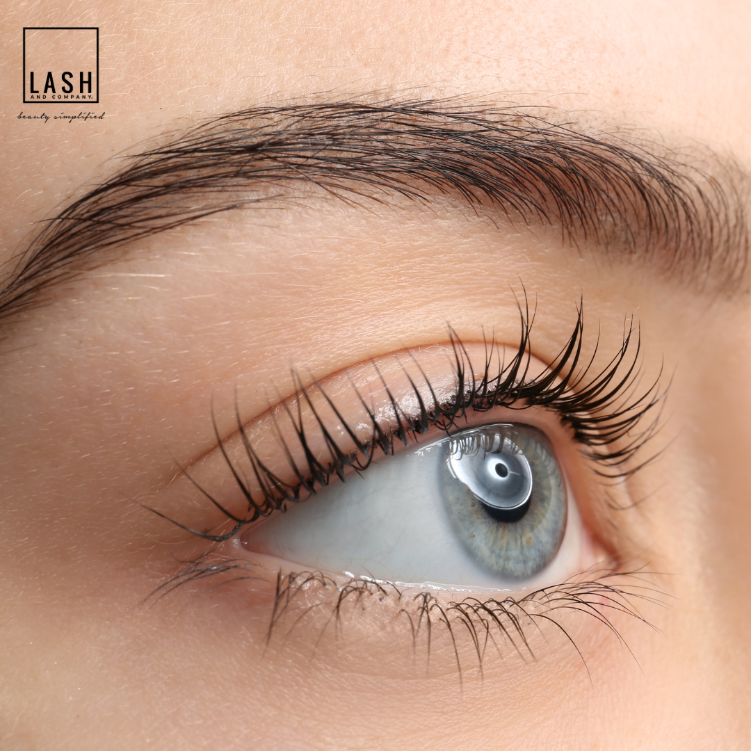 Lash and Company Med Spa - Windsor