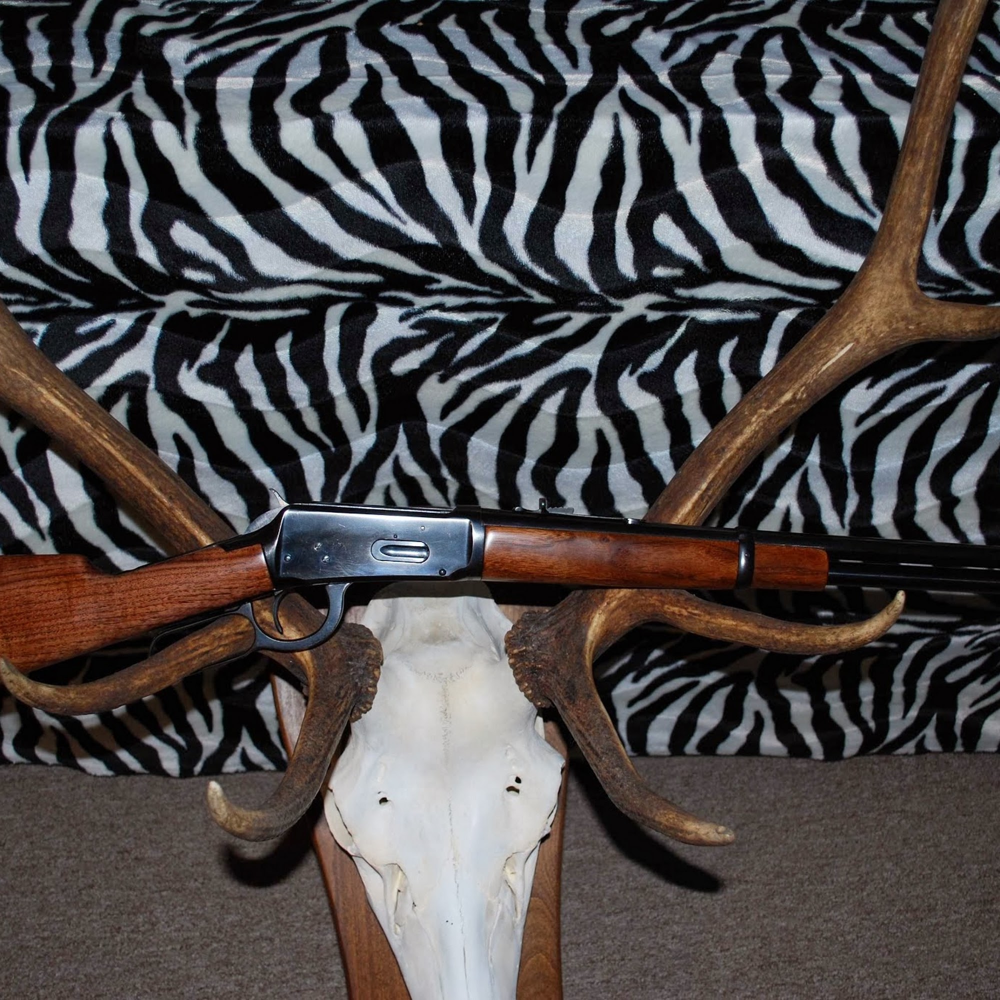 Windsor Firearms Restoration Windsor