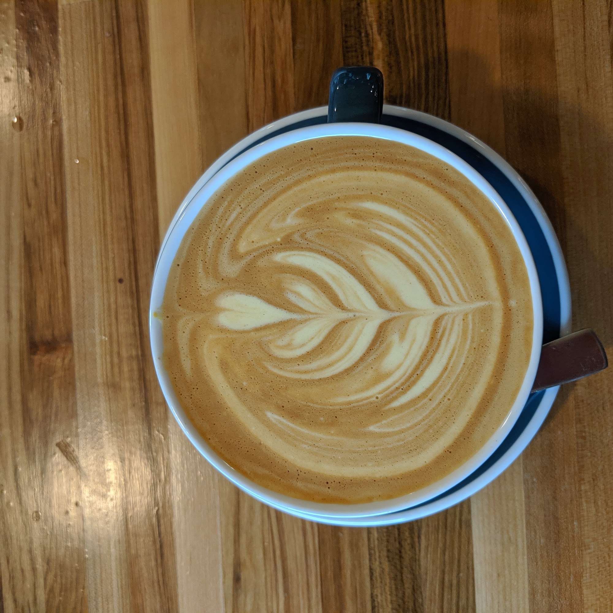 Moon Frog. Coffee Shop | Roaster Winter Park