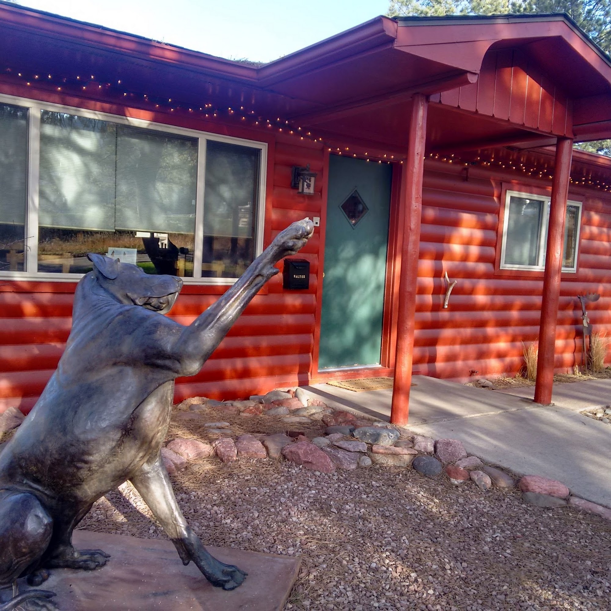 The Animal Clinic of Woodland Park Woodland Park