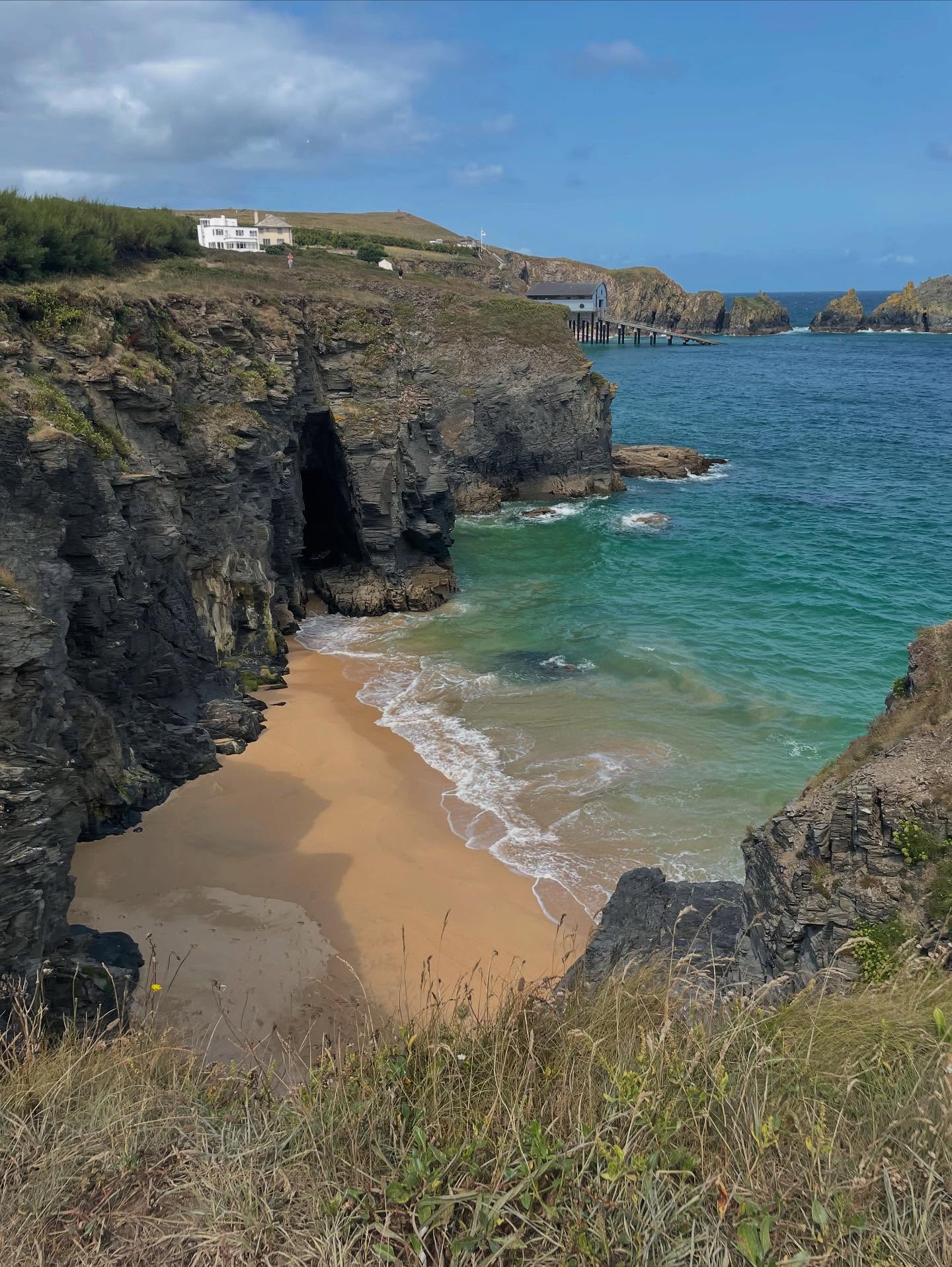 Trevigue
