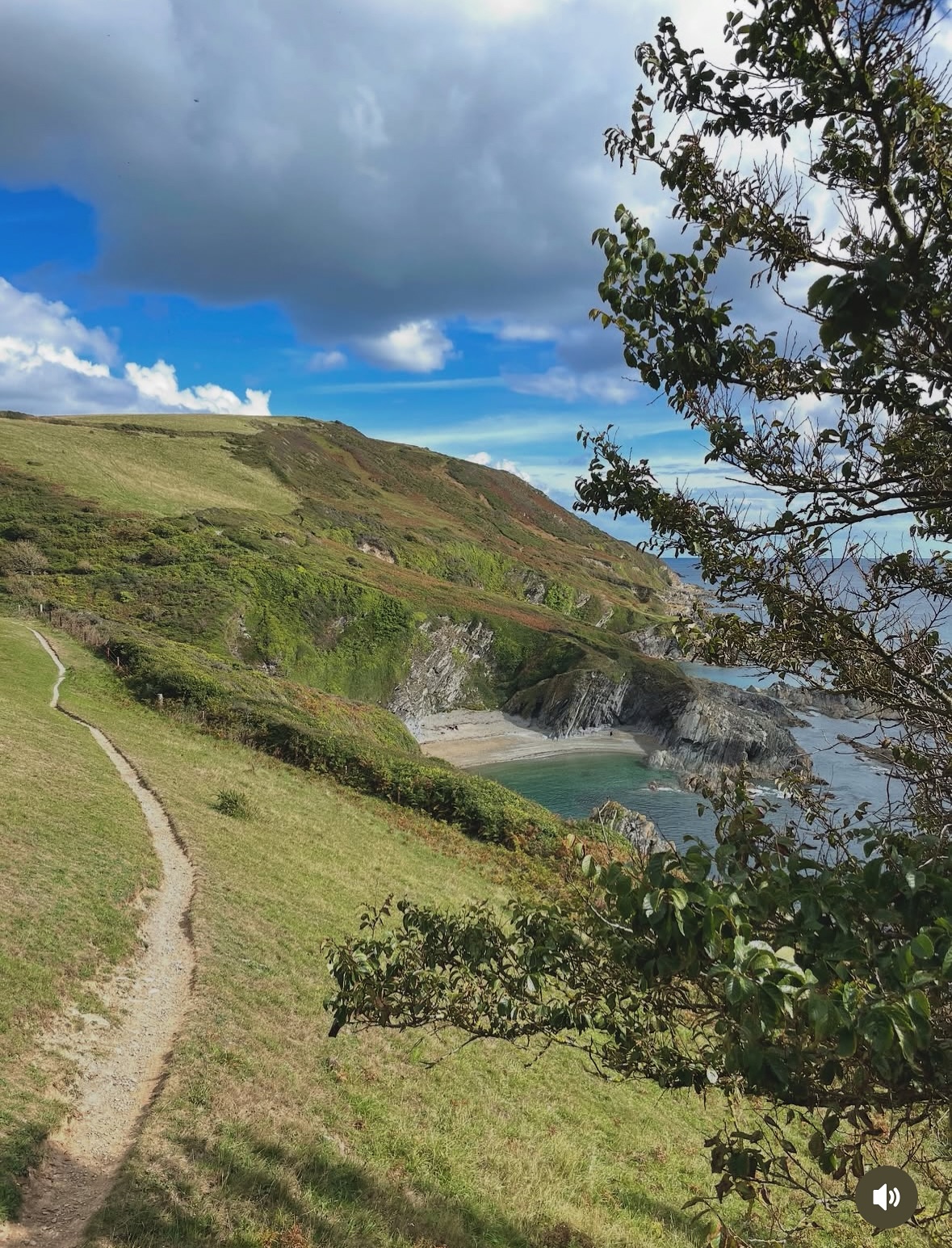 Cream Cornwall