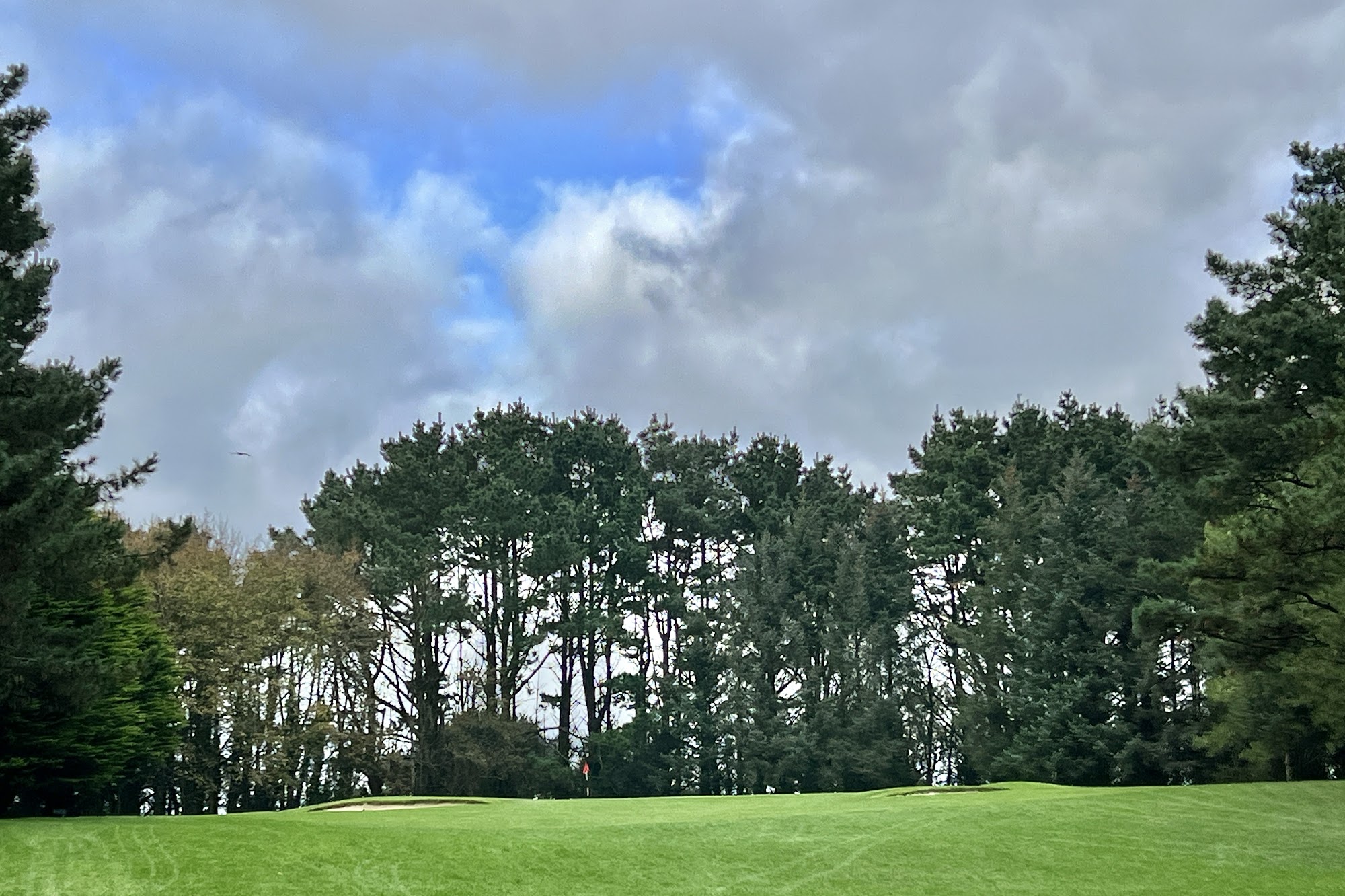Treloy Golf Club