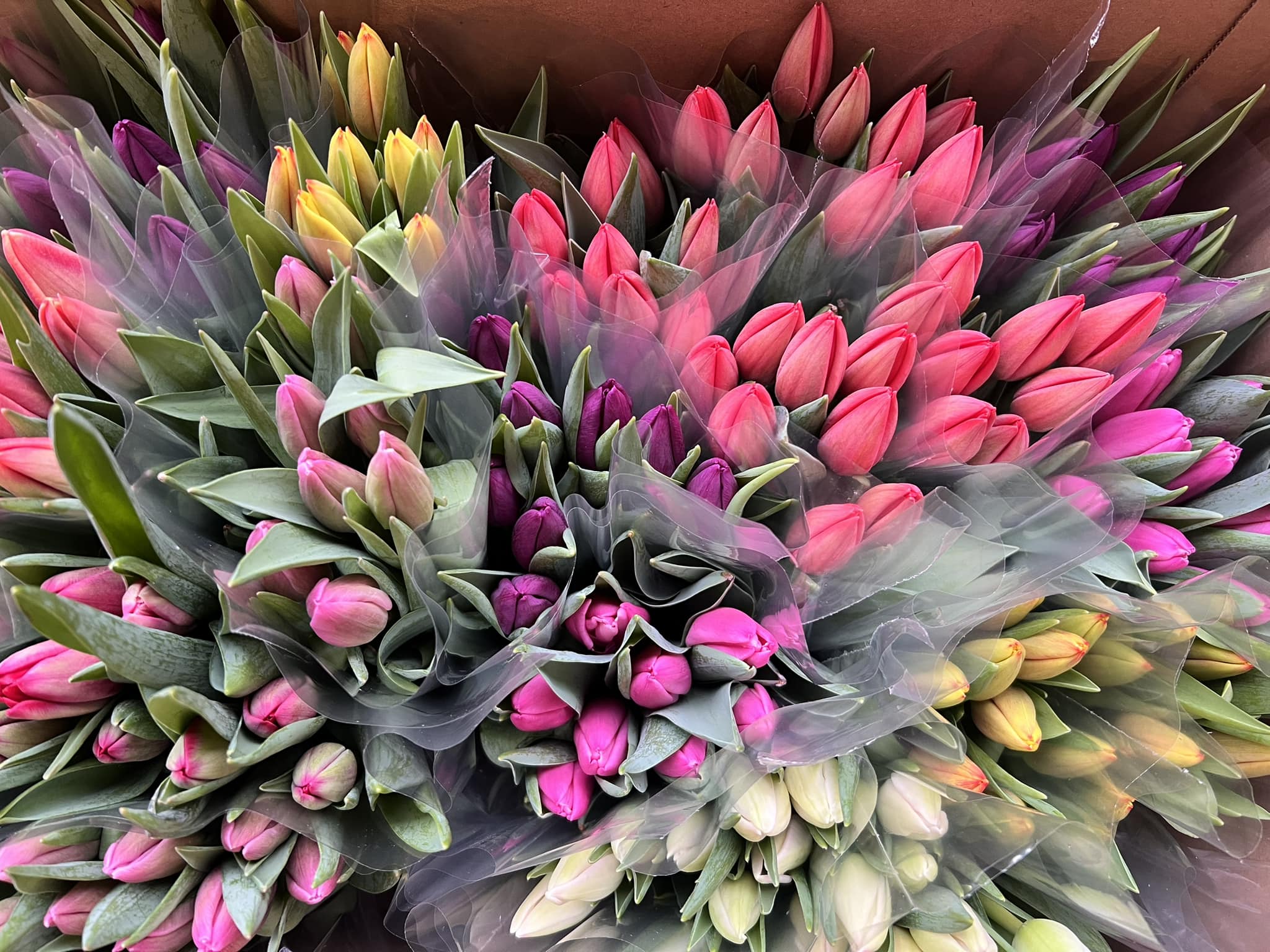 St Mellion Flowers