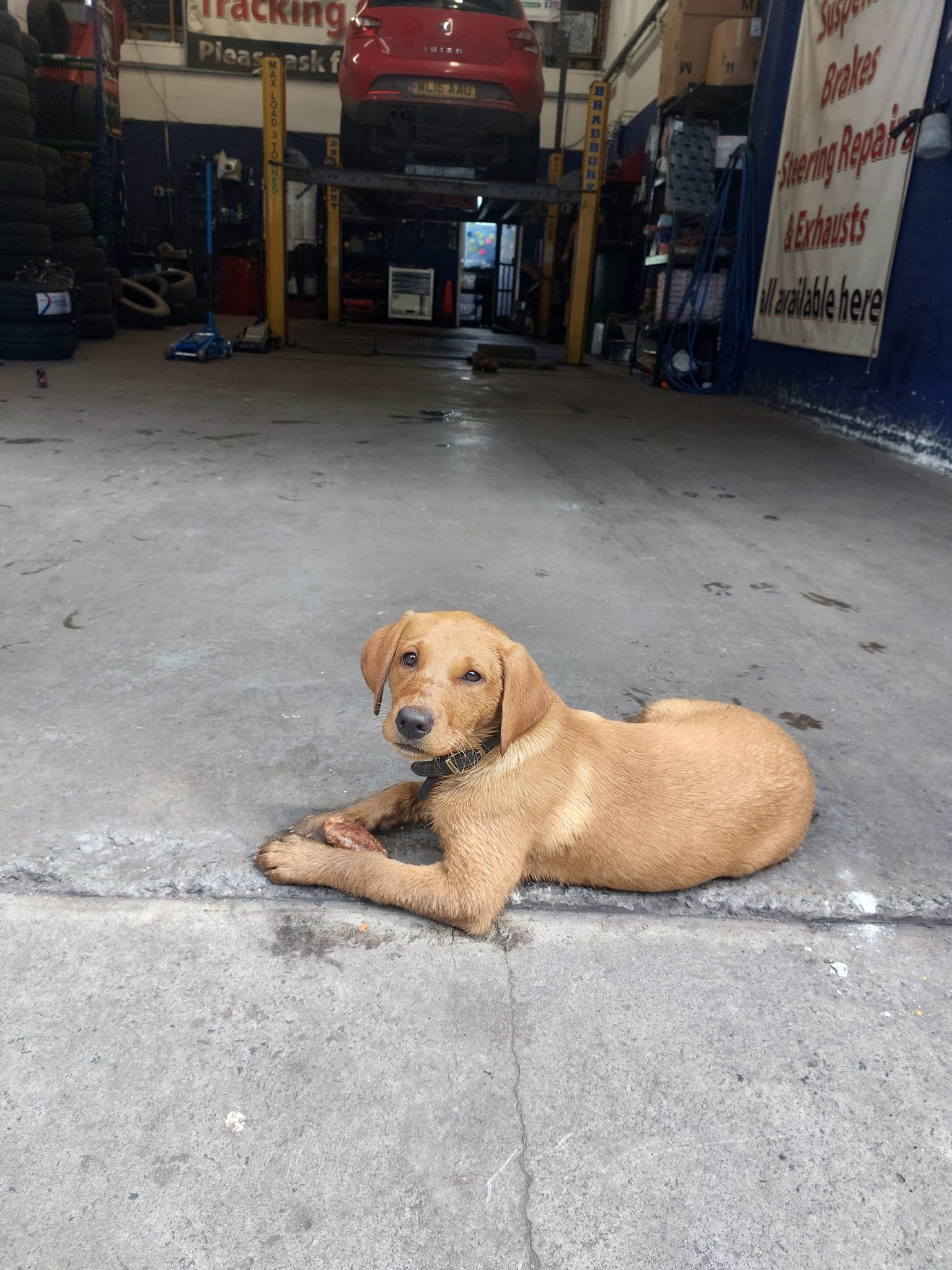RPD Tyres