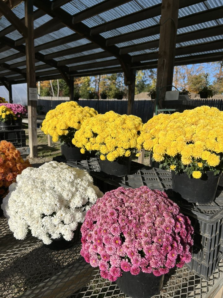 Andover Landscaping LLC 5 Hendee Rd, Andover Connecticut 06232