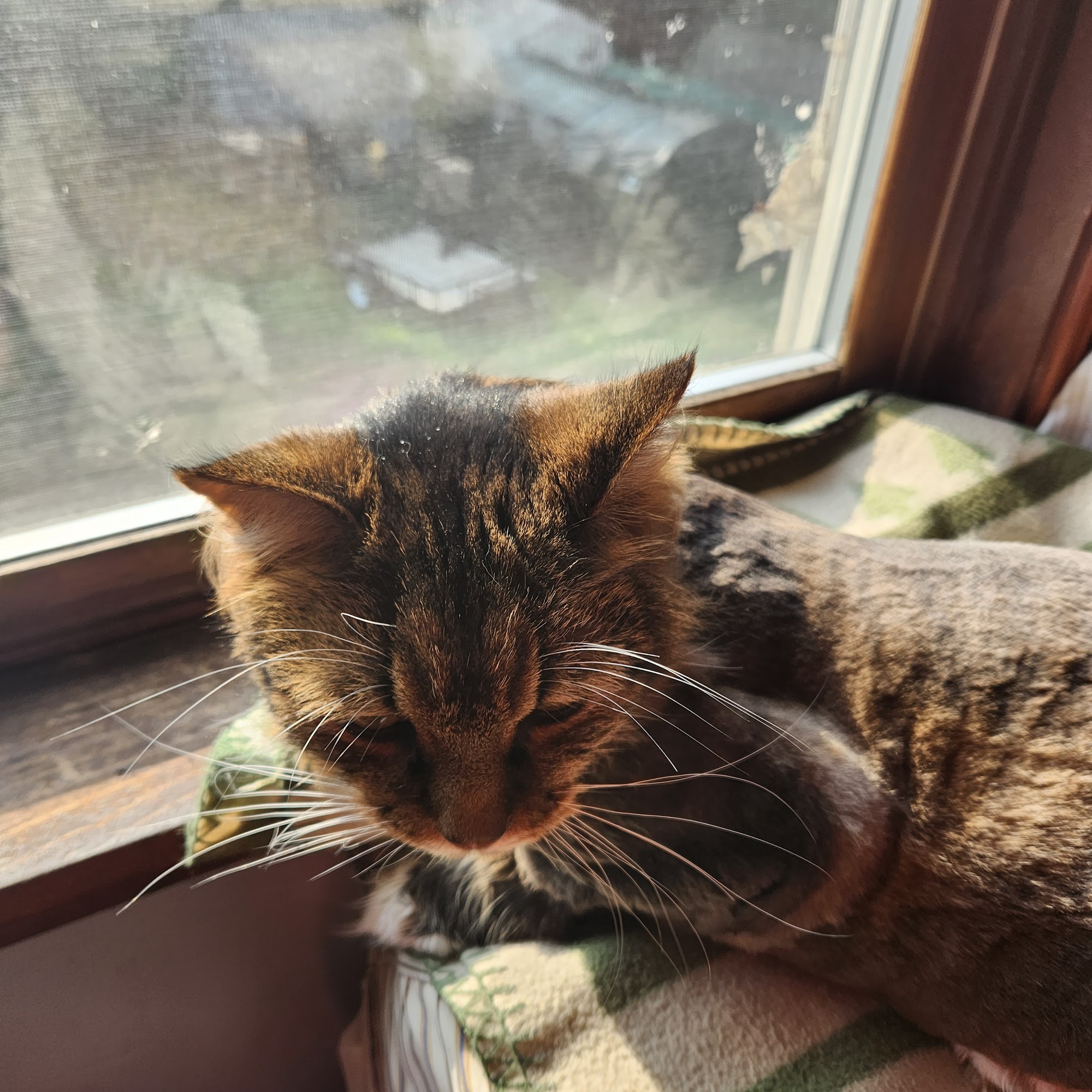 Fenton River North Veterinary Clinic Ashford