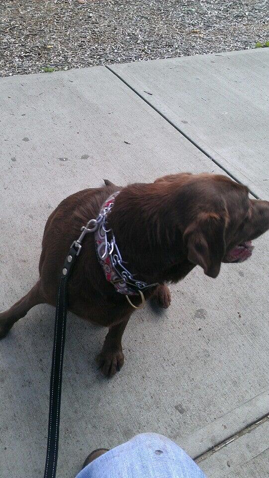 Avon Veterinary Clinic Avon