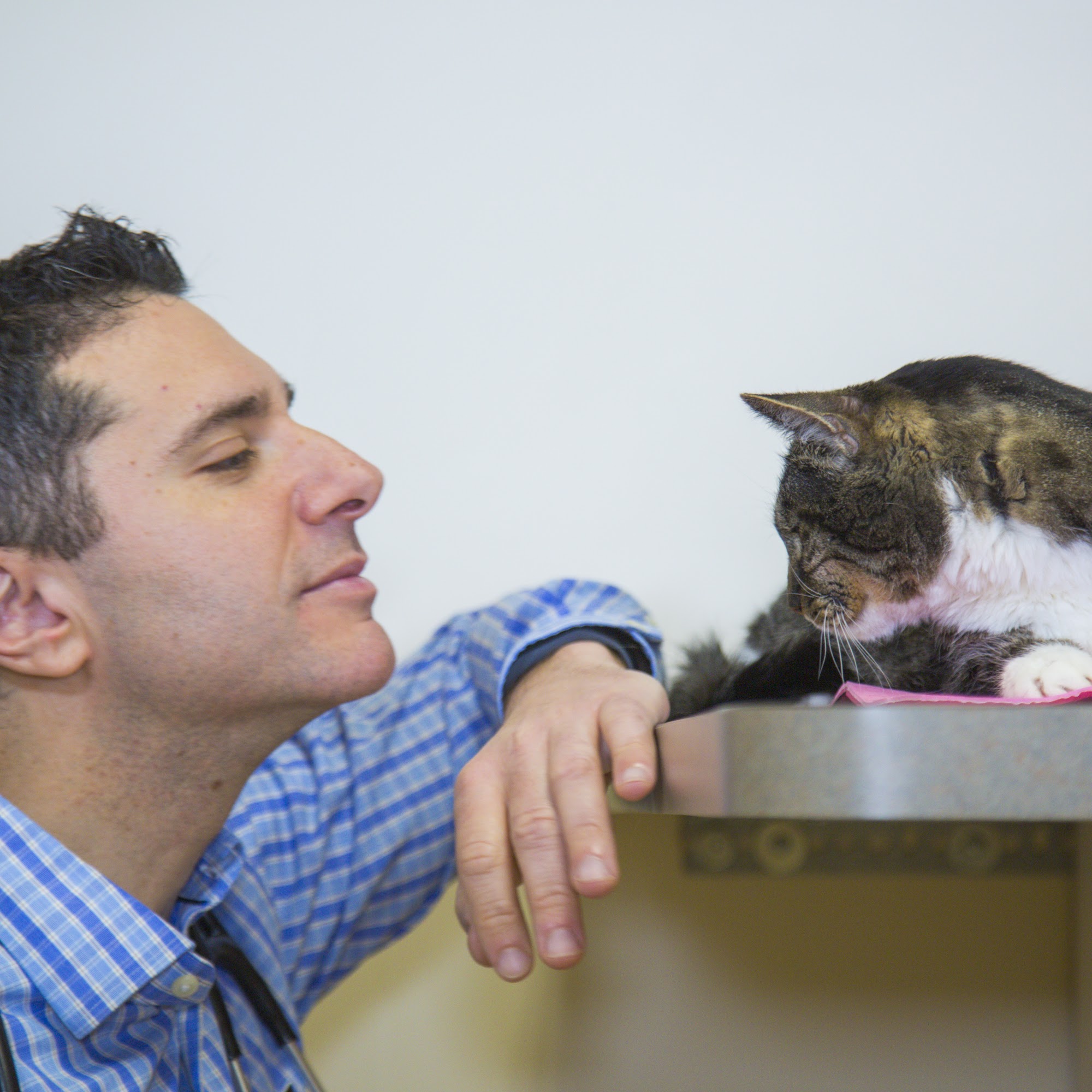 Corey Shagensky, DVM Avon