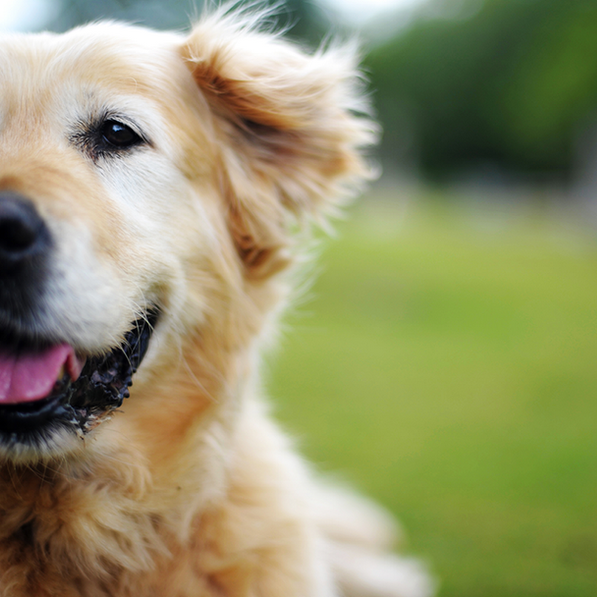 Animal Hospital of Berlin Berlin