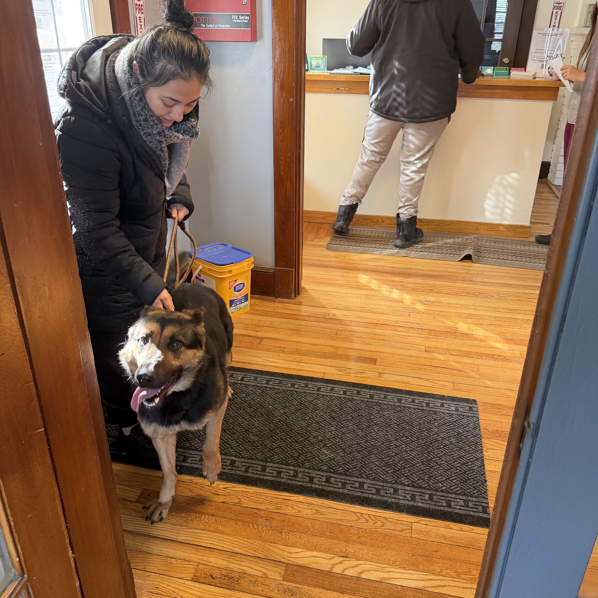 Silver Lake Animal Hospital Berlin