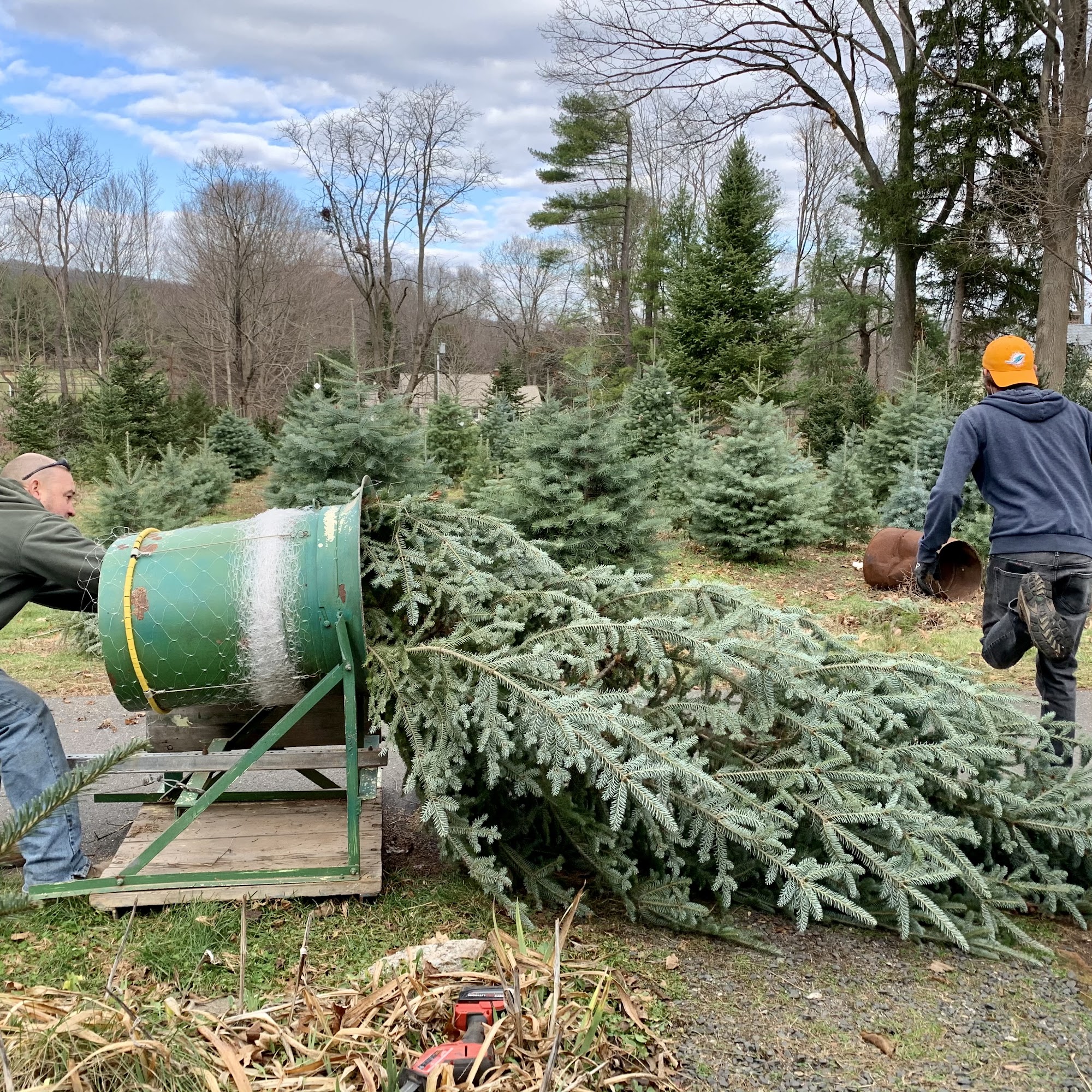 Hrubiec Farms Berlin