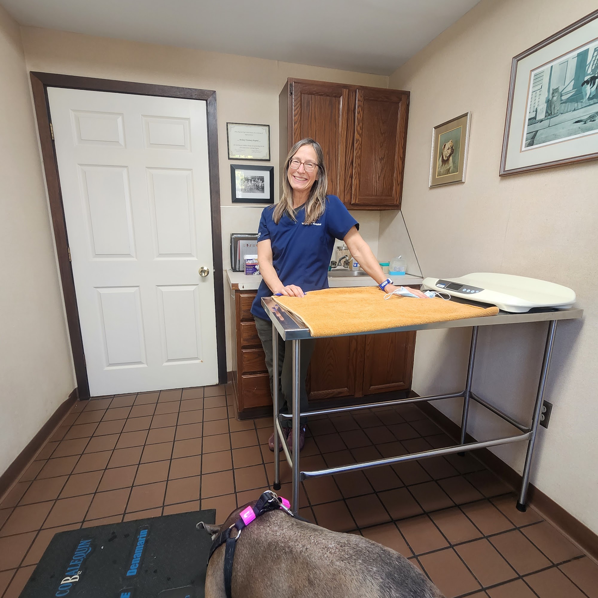 Bethany Veterinary Hospital Bethany